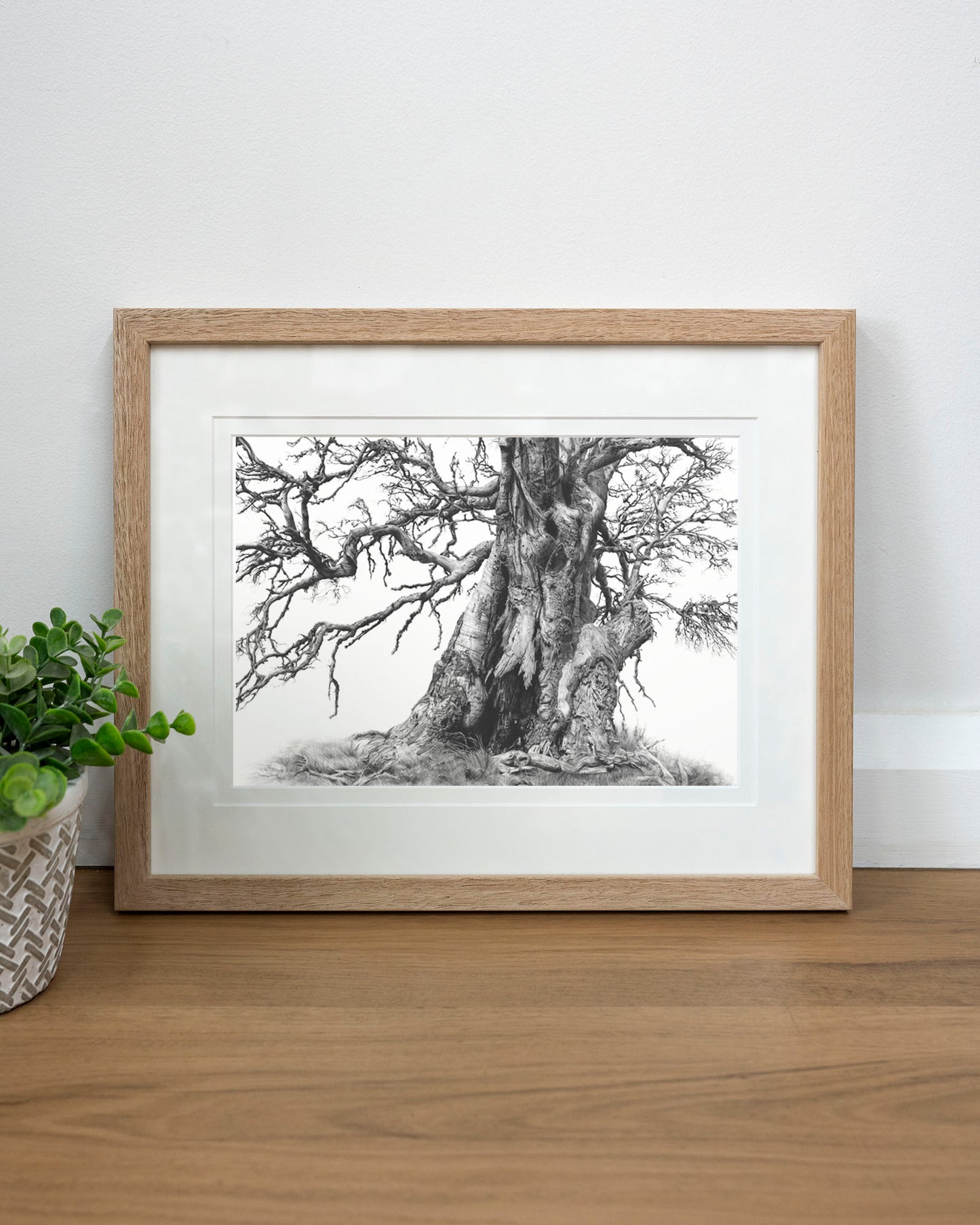 'Tree Elder 1' art print