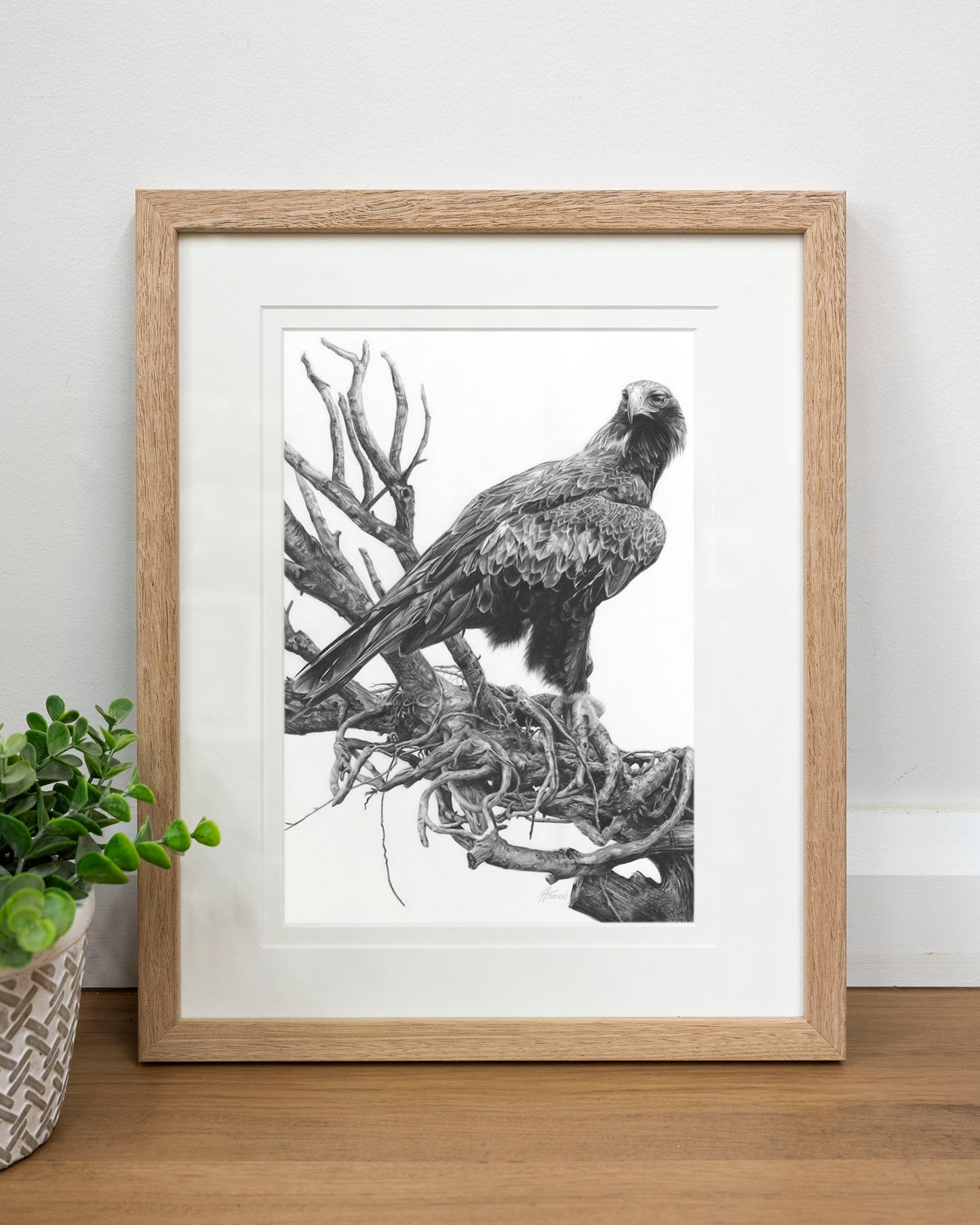 'Wedge-tailed Eagle' art print