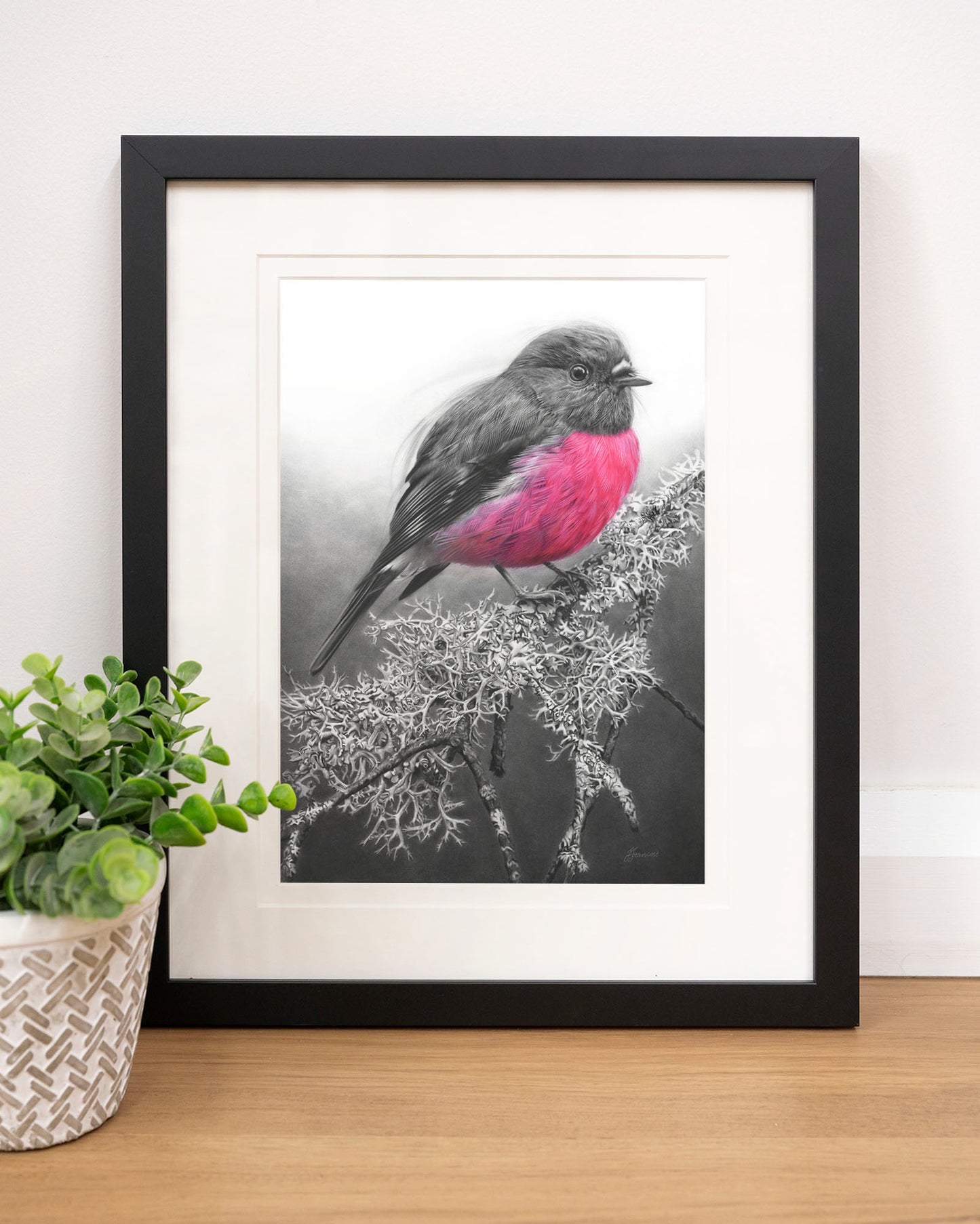 'Pink Robin' art print