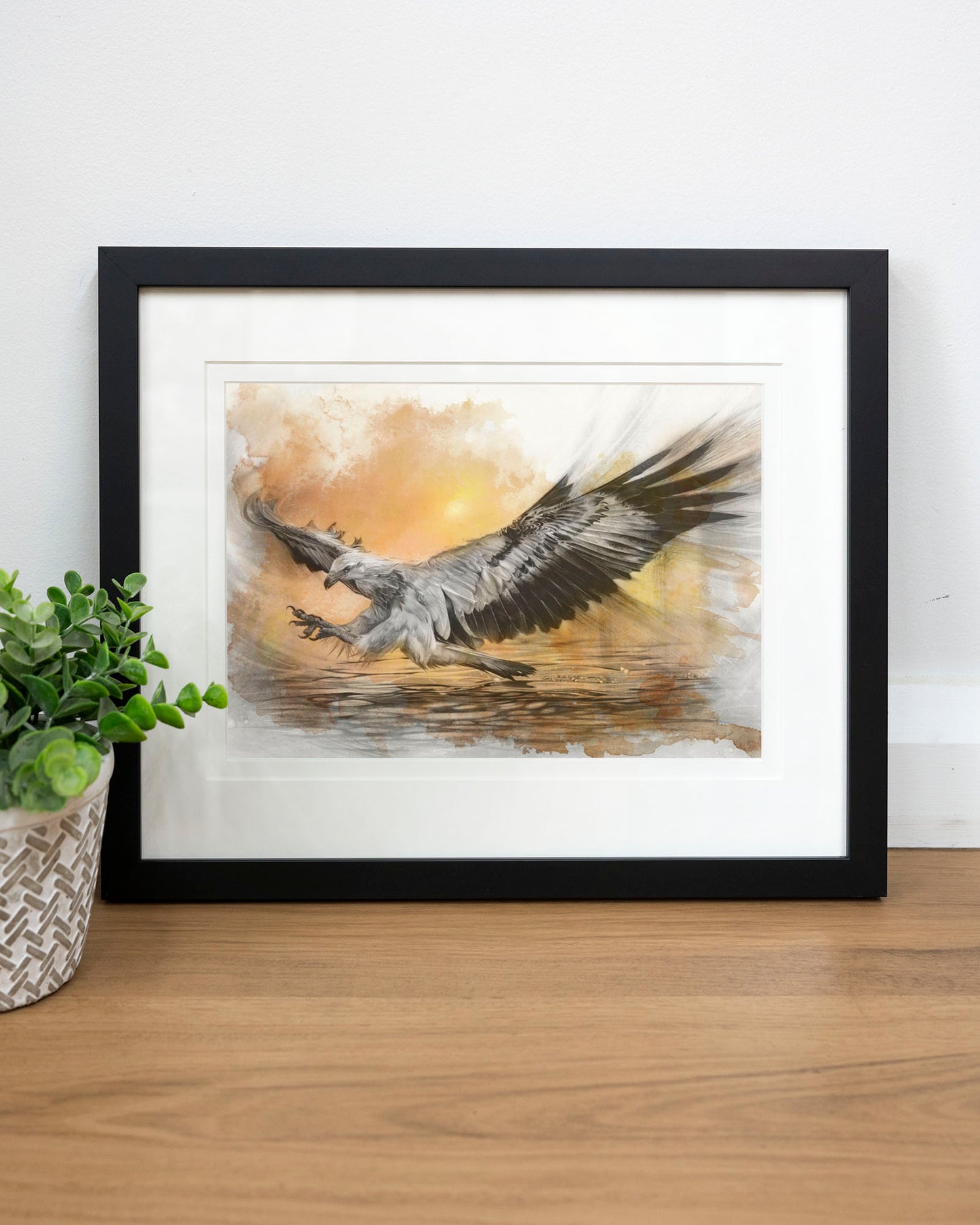 'White-bellied Sea Eagle Sunset' art print