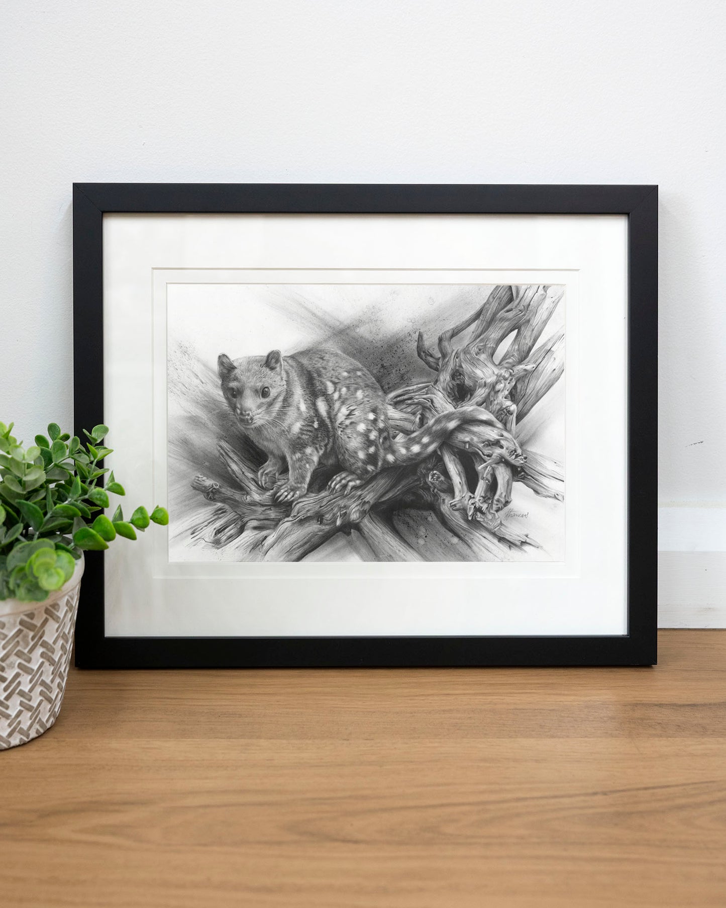 'Spotted Quoll' art print