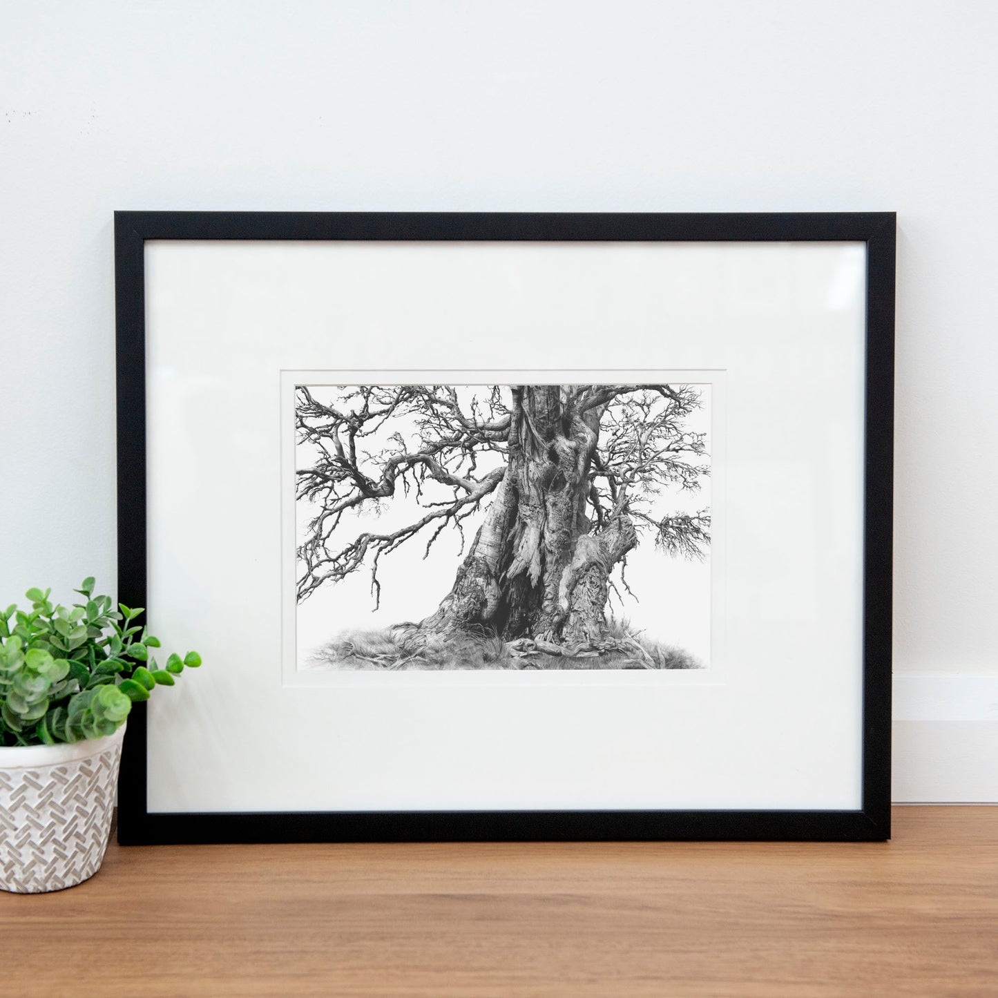 'Tree Elder 1' art print