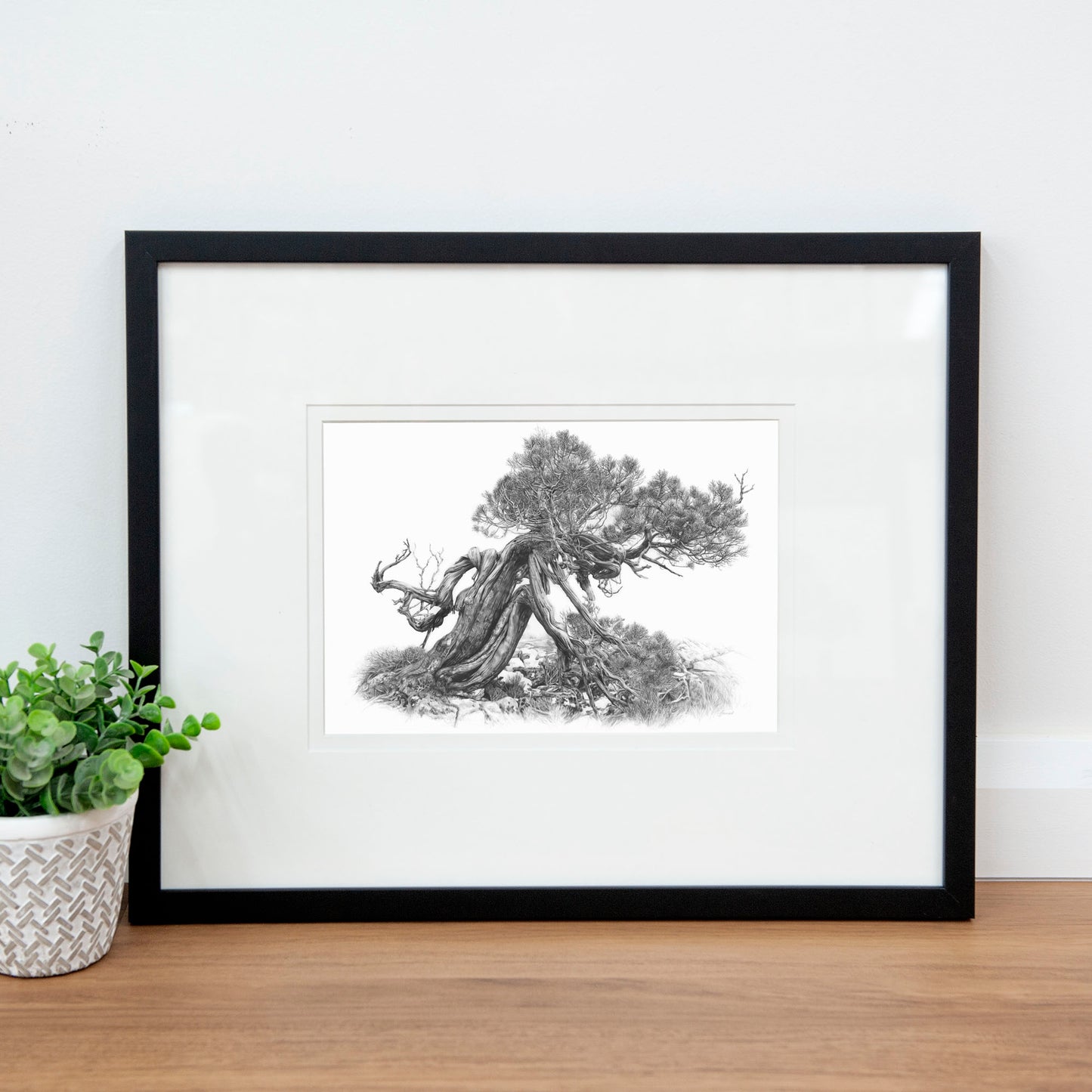 'Tree Elder 2' art print