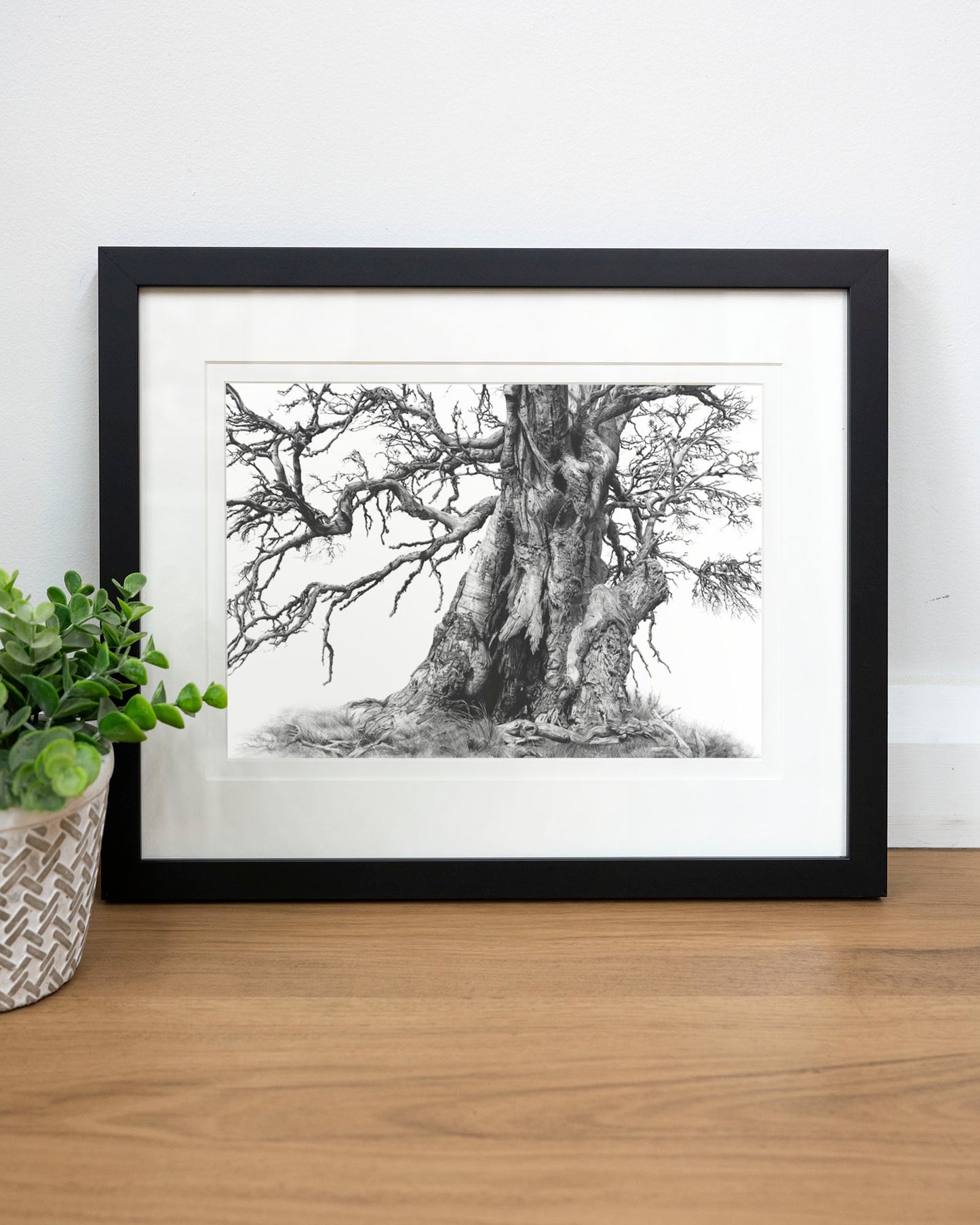 'Tree Elder 1' art print