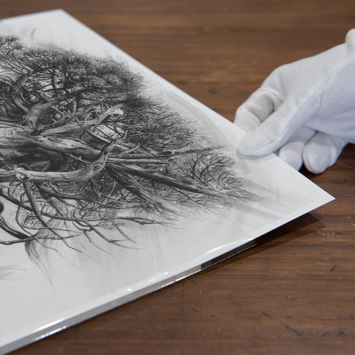 'Tree Elder 3' art print