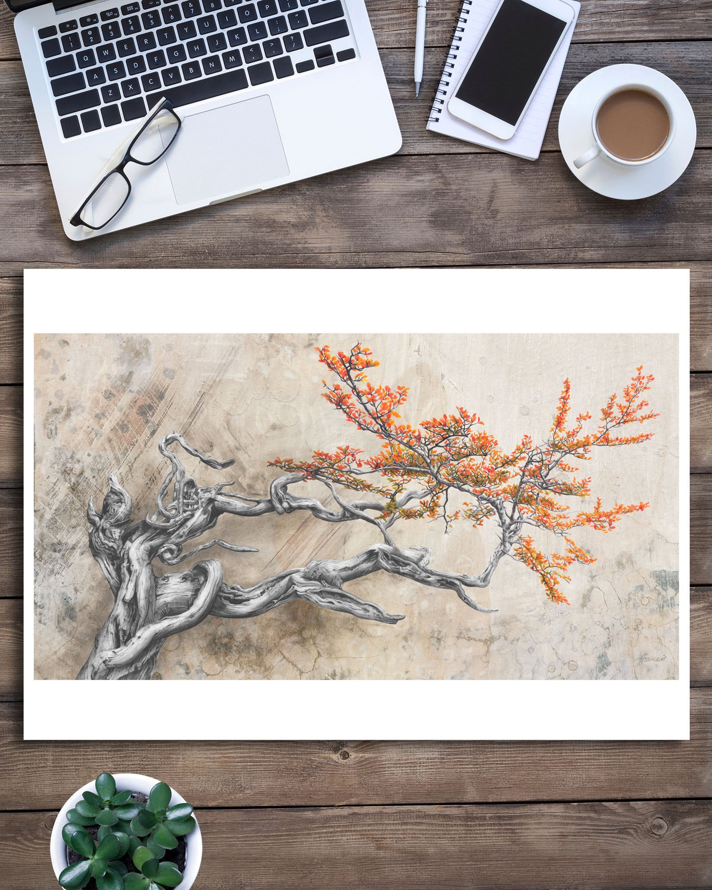 'Bonsai Fagus' art print