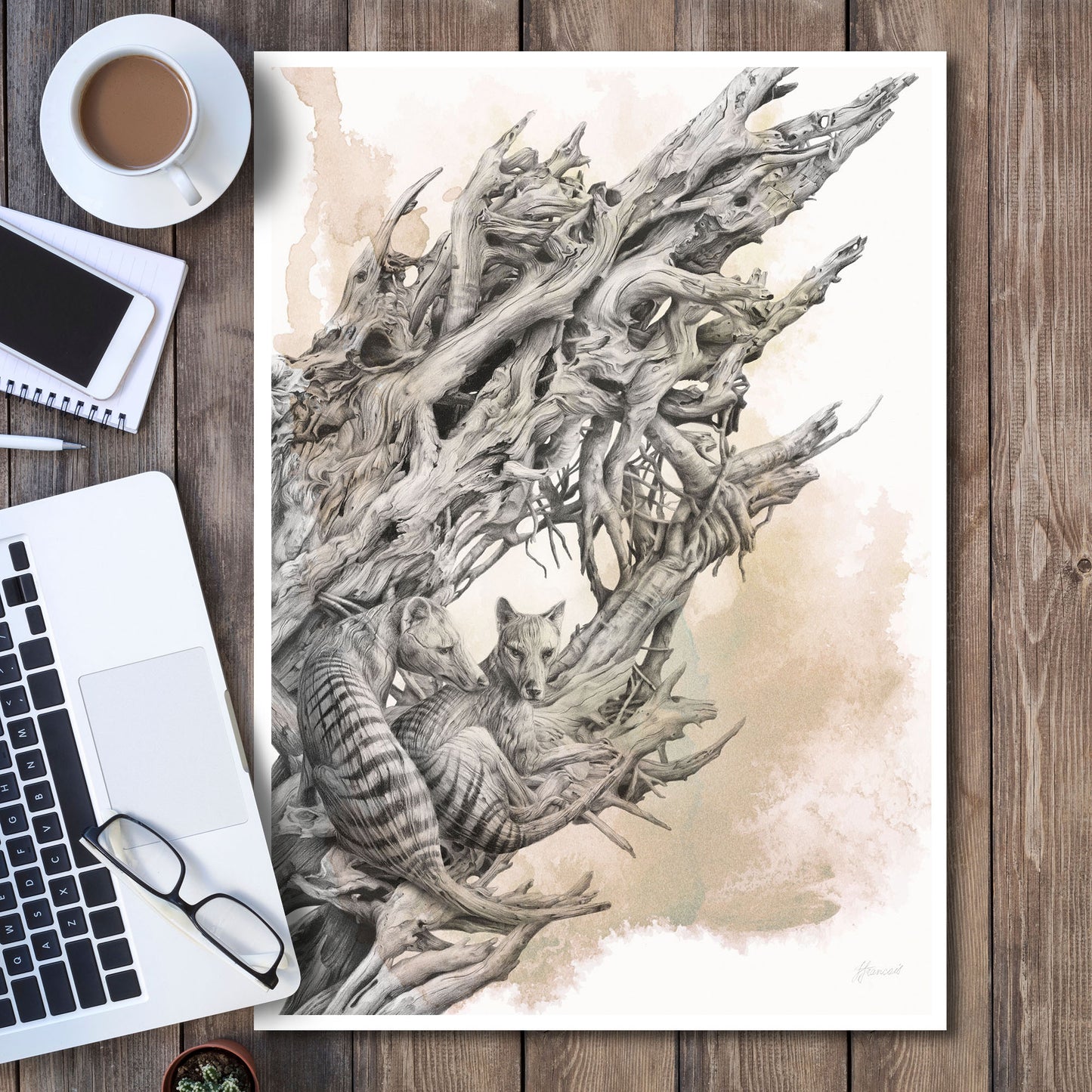 'Driftwood Thylacine' art print (with colour)