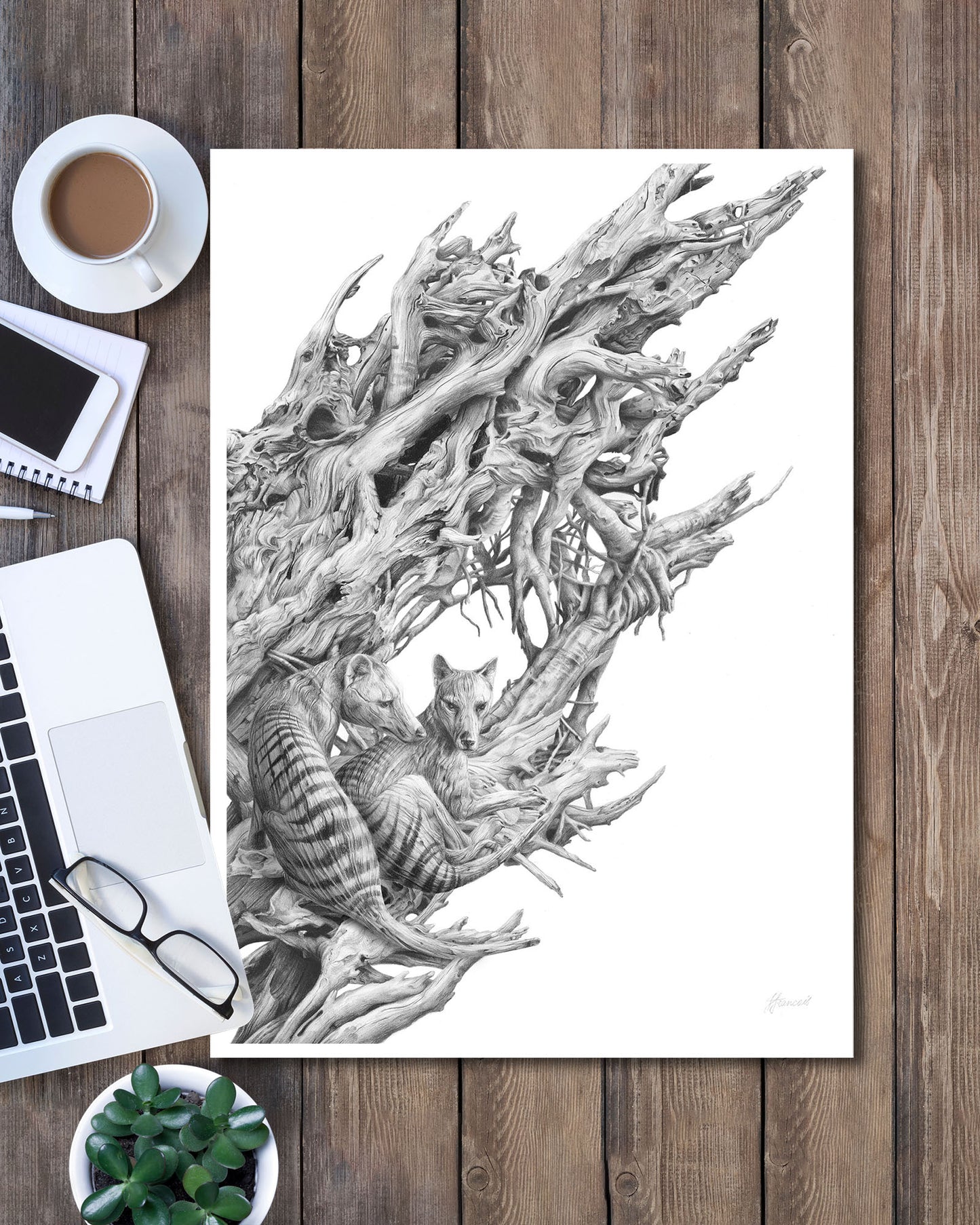 'Driftwood Thylacine' art print