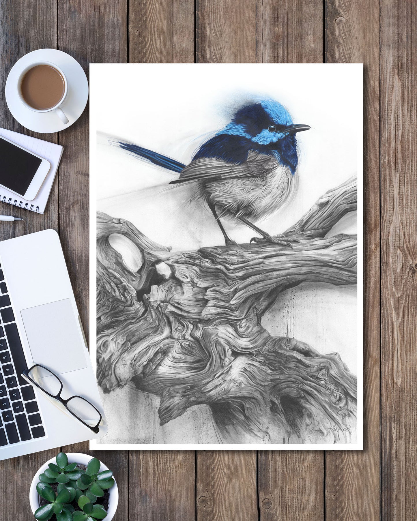 'Fairy Wren' art print