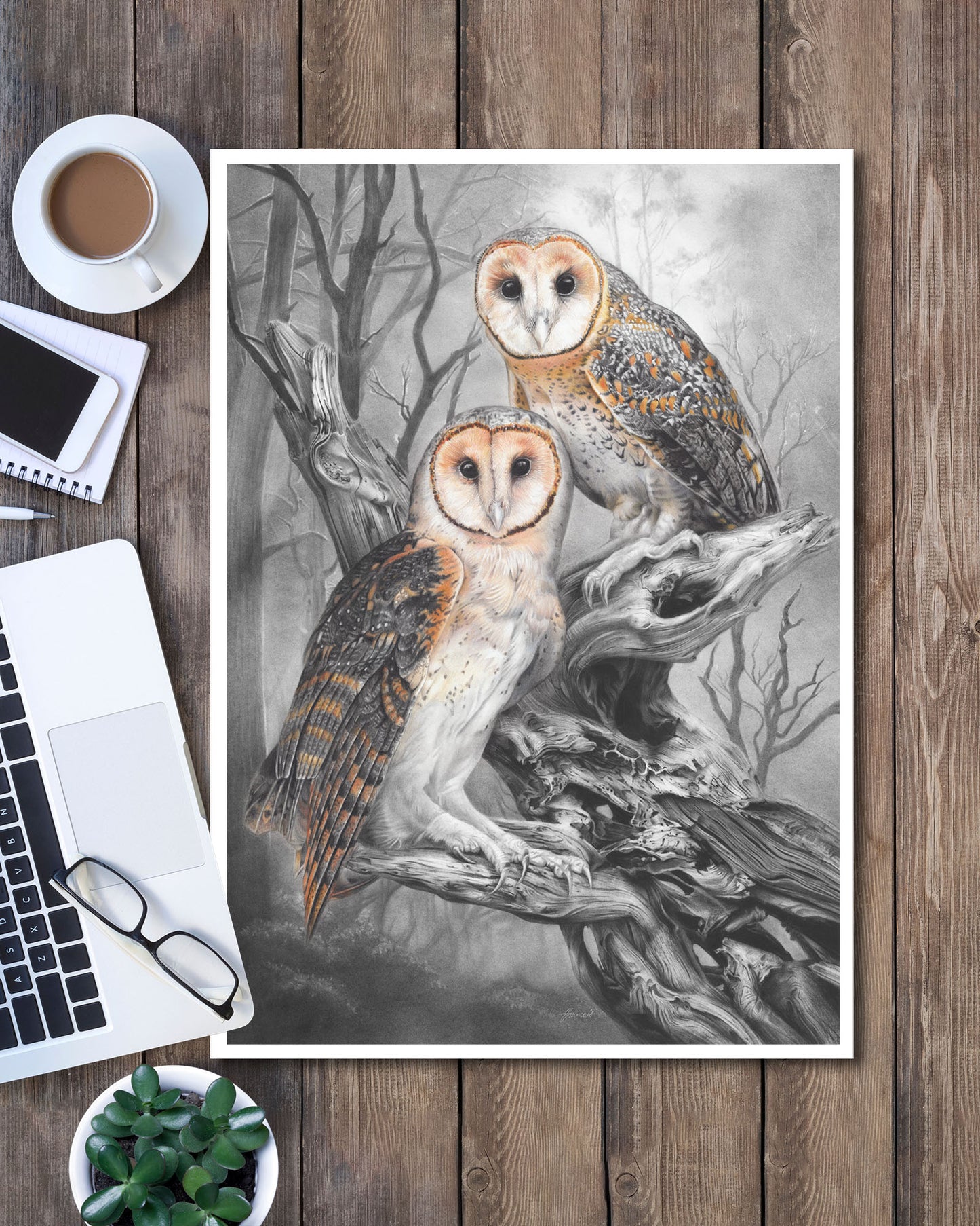 'Tasmanian Masked Owls' art print