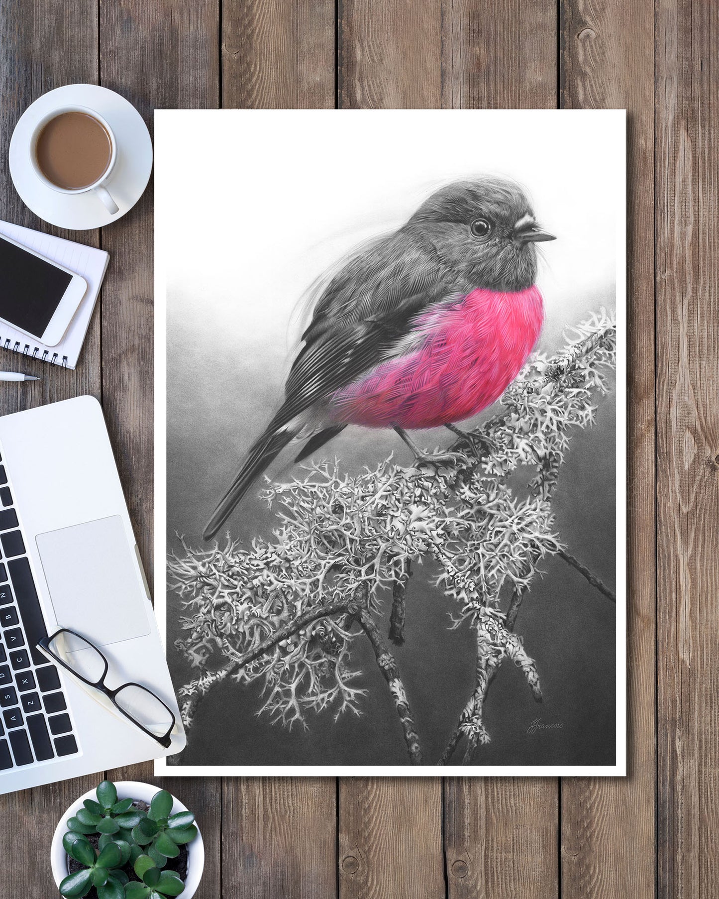 'Pink Robin' art print