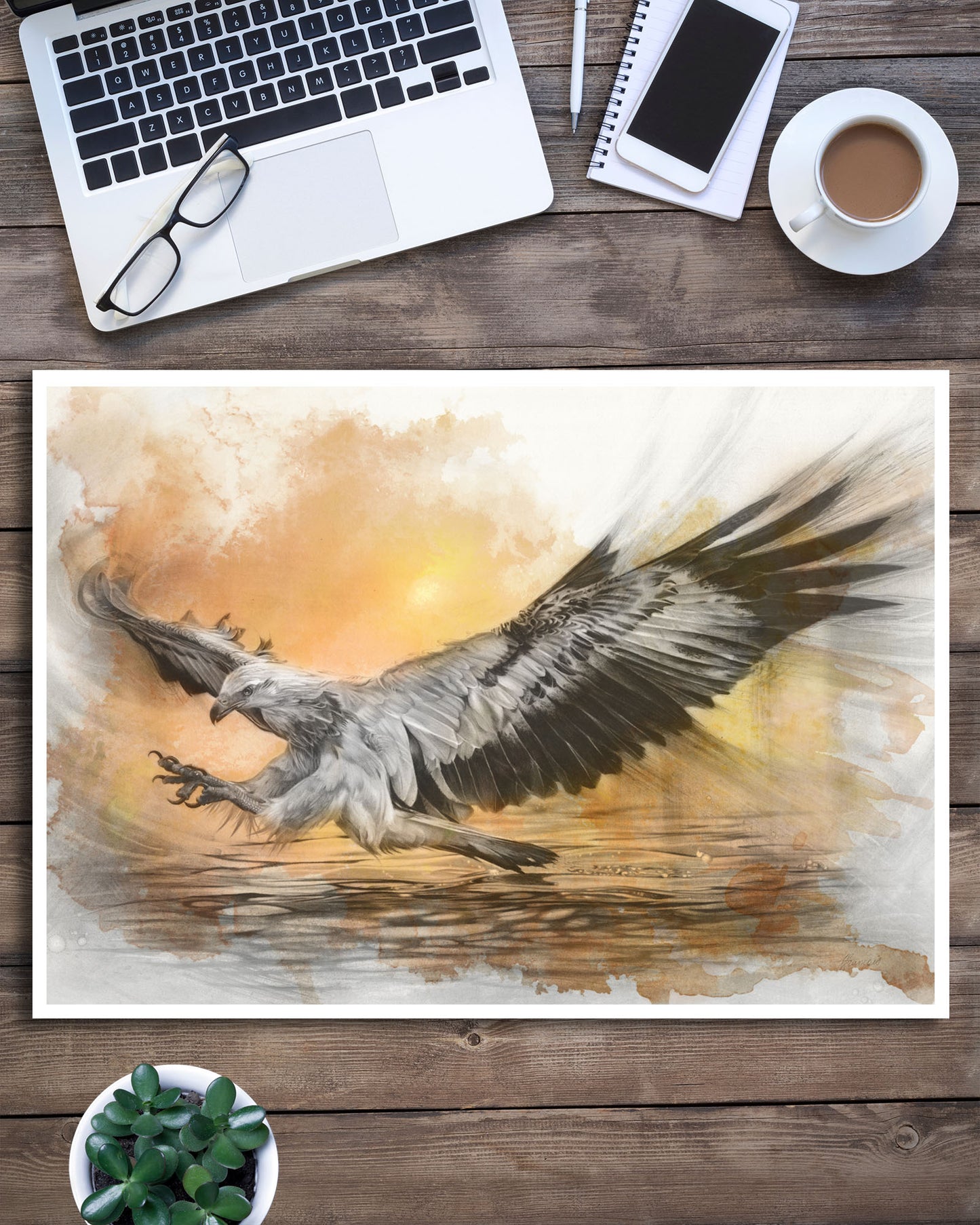 'White-bellied Sea Eagle Sunset' art print