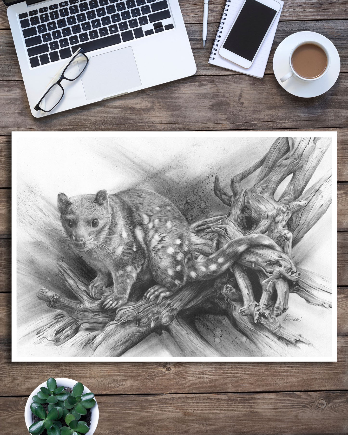 'Spotted Quoll' art print