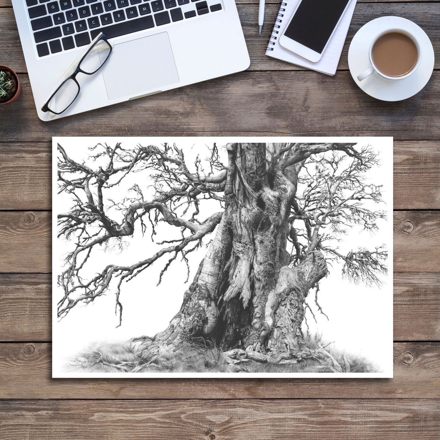 'Tree Elder 1' art print