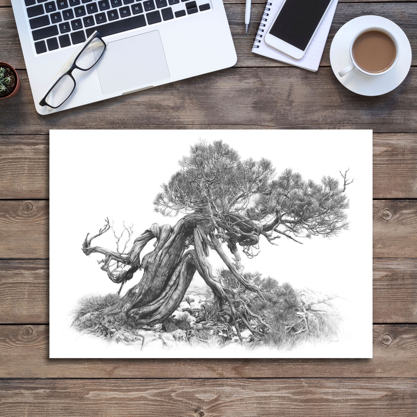 'Tree Elder 2' art print