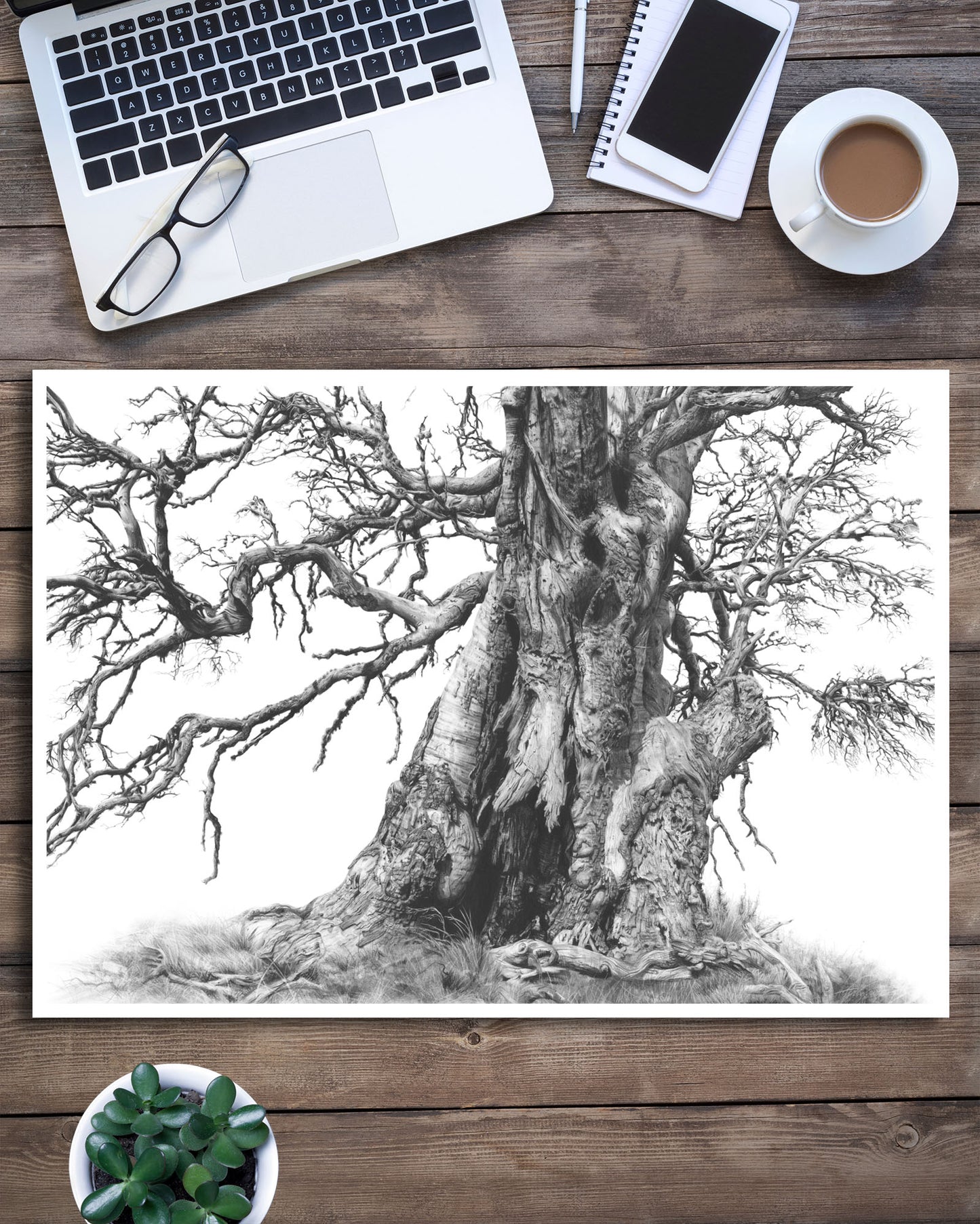 'Tree Elder 1' art print
