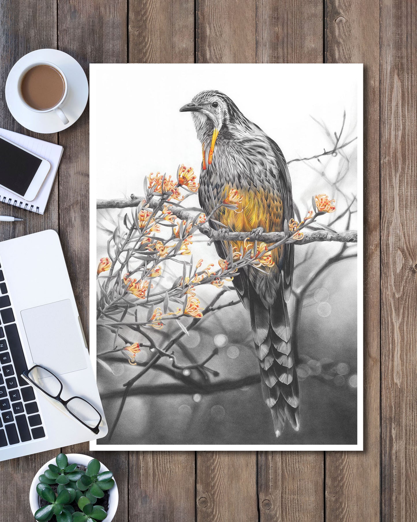 'Yellow Wattlebird' art print