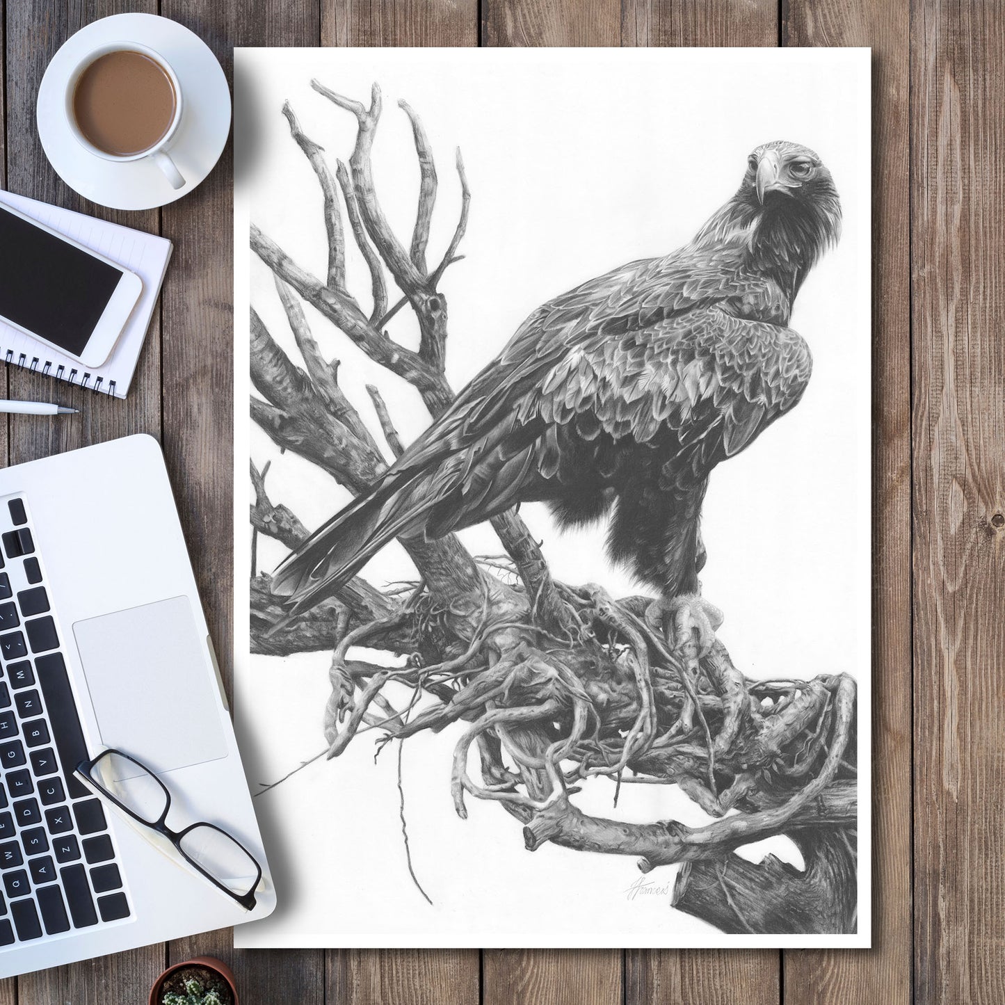 'Wedge-tailed Eagle' art print