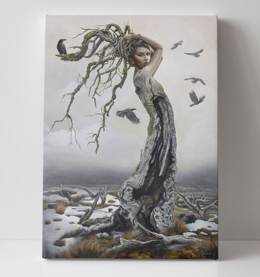 'Currawong's Daughter' canvas print