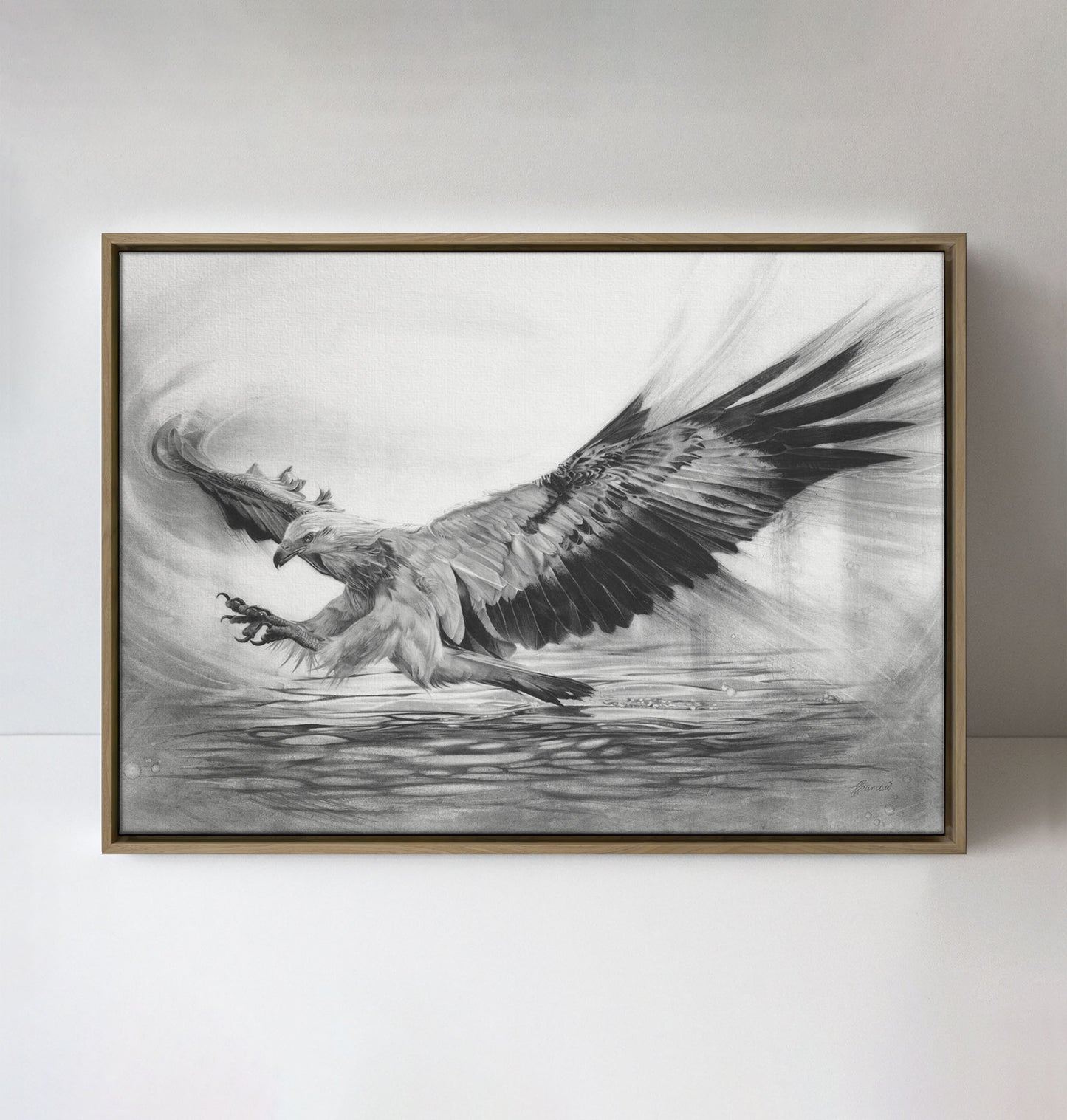 'White-bellied Sea Eagle' canvas print