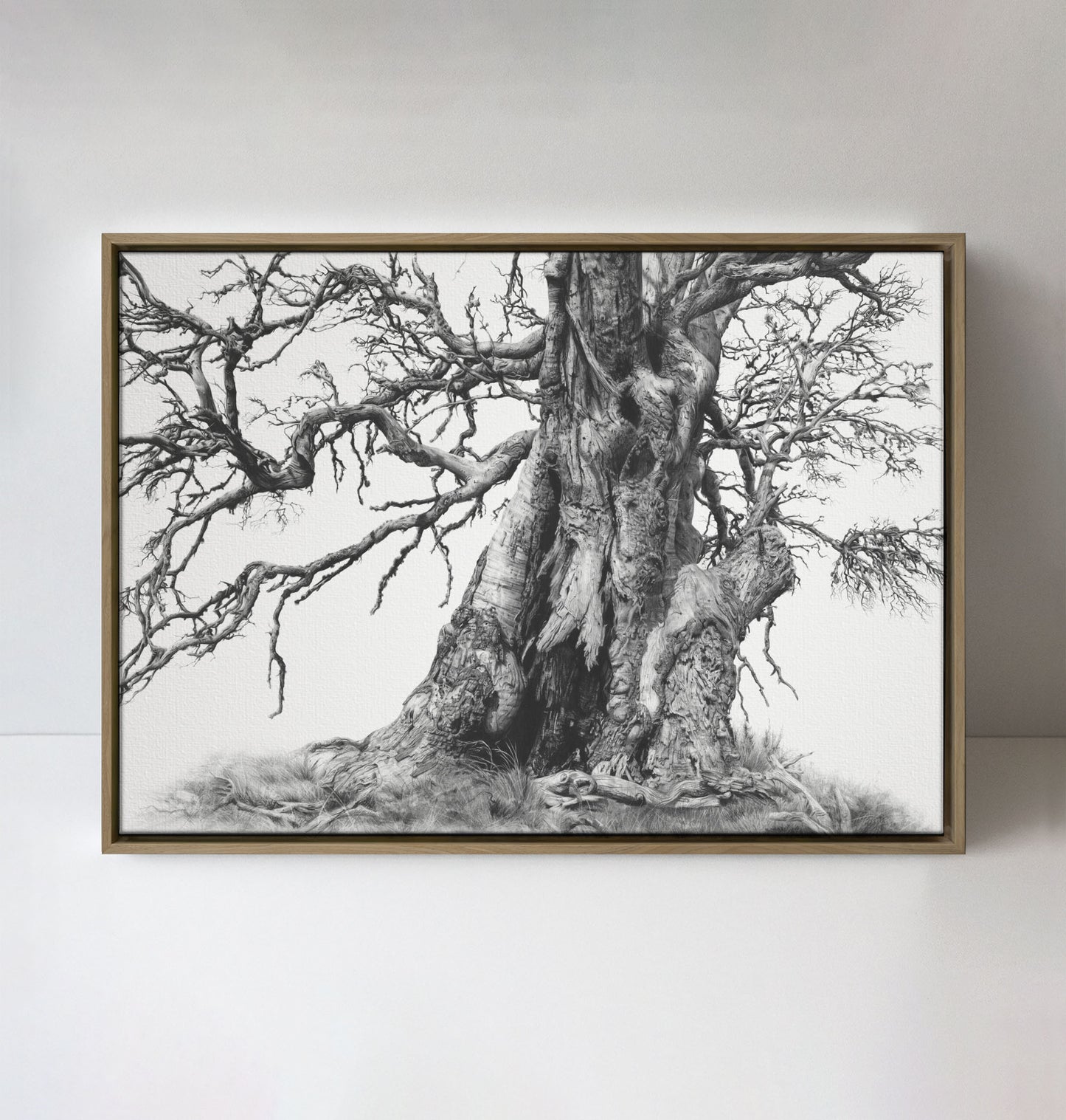 'Tree Elder 1' canvas print