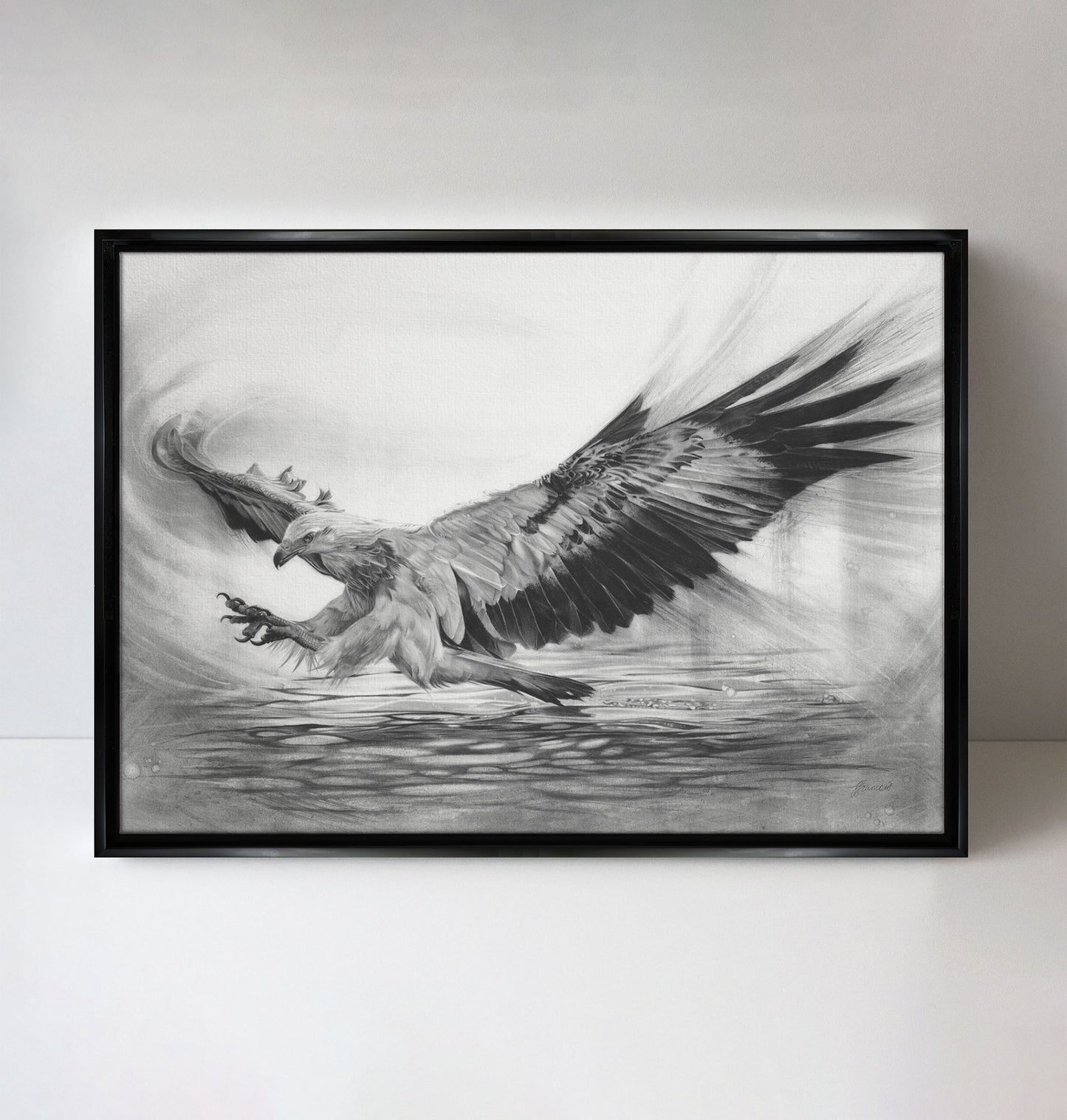 'White-bellied Sea Eagle' canvas print
