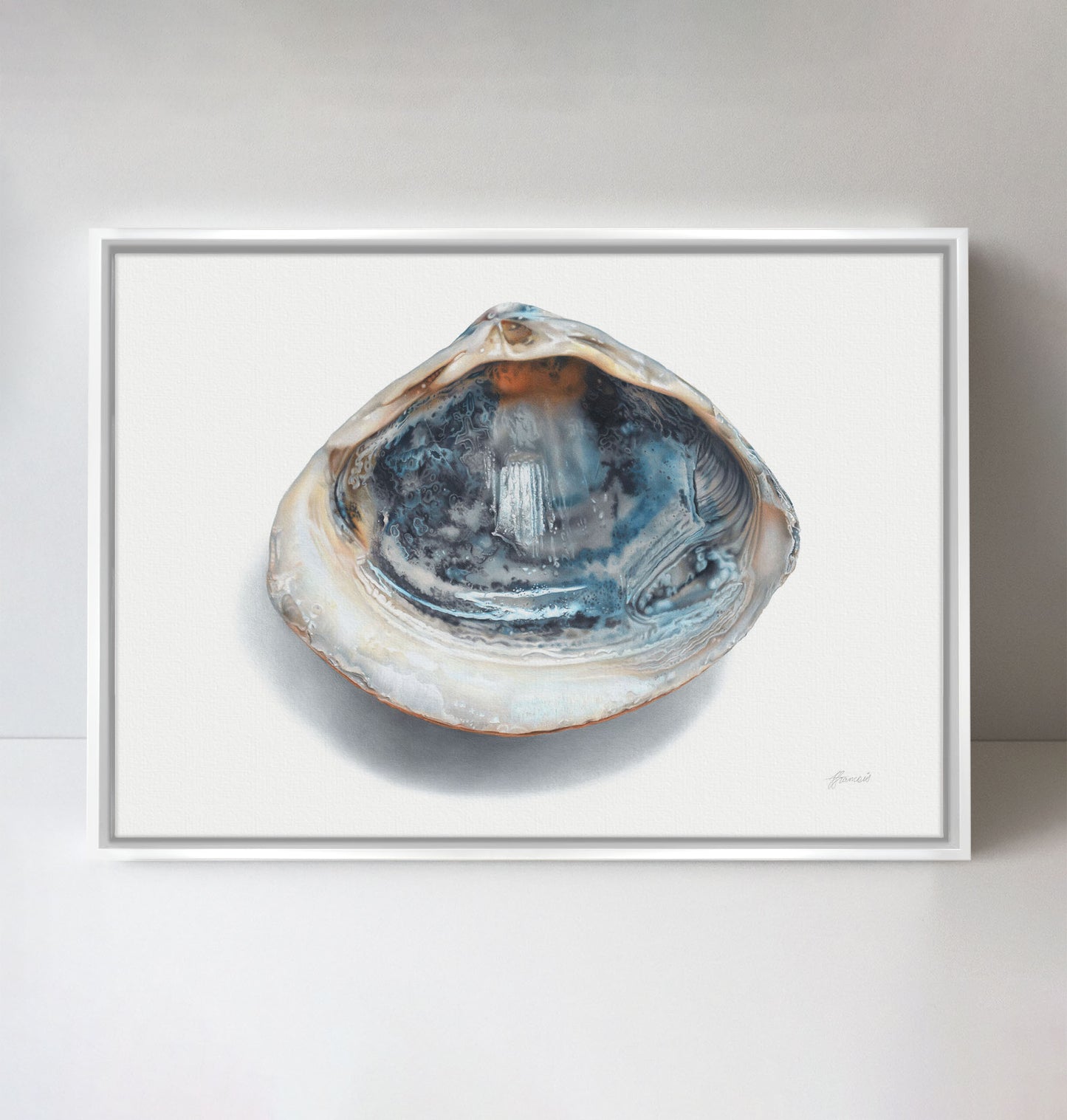 'Blue Shell' canvas print