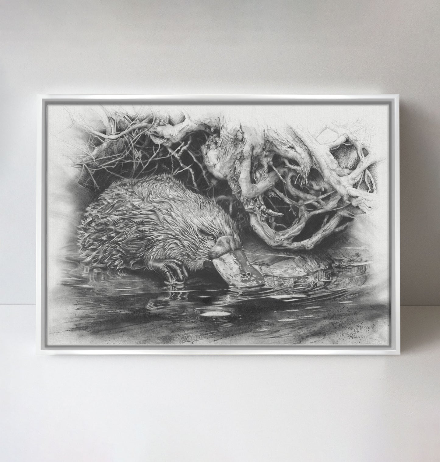 'Platypus' canvas print