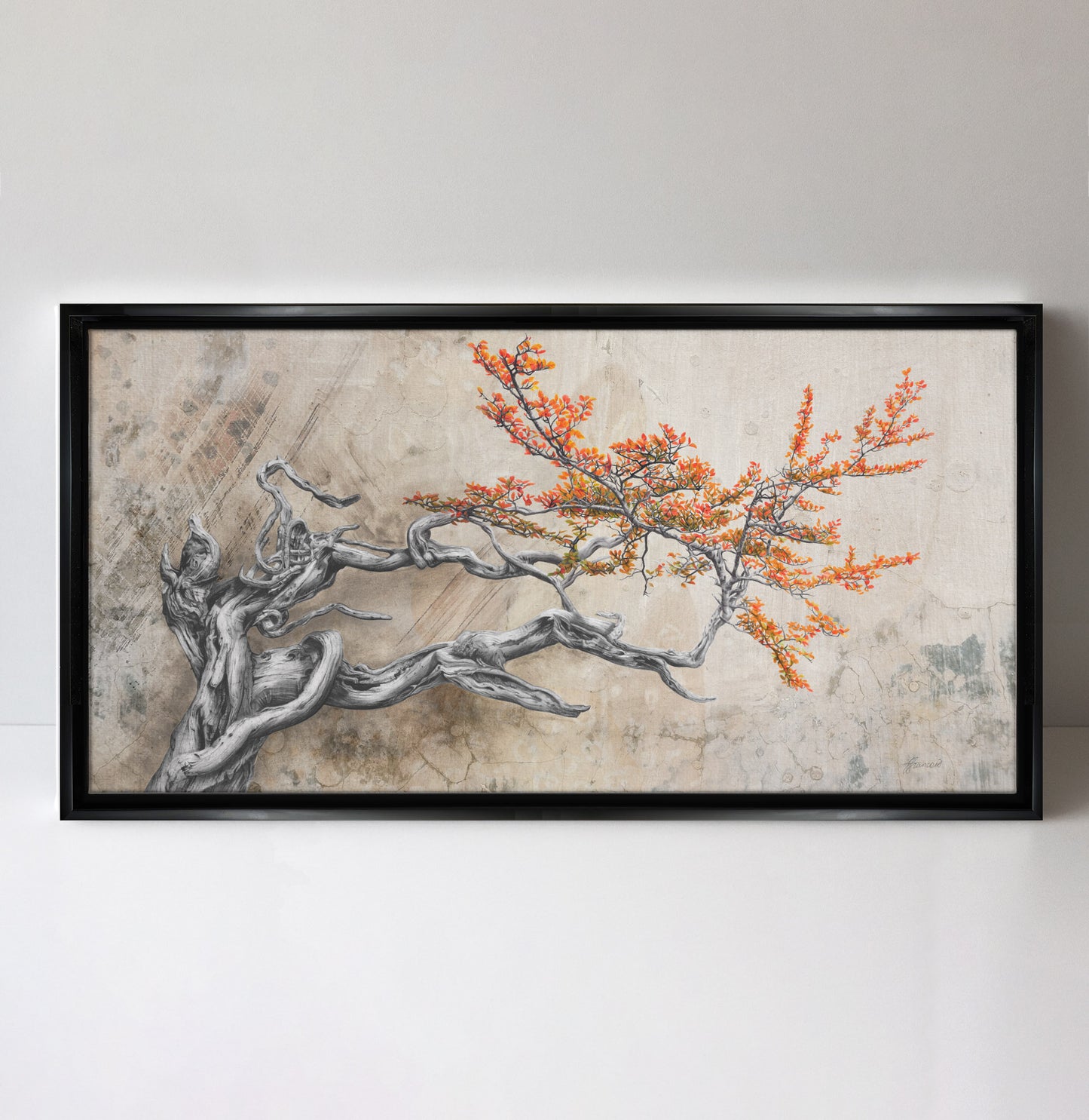 'Bonsai Fagus' canvas print