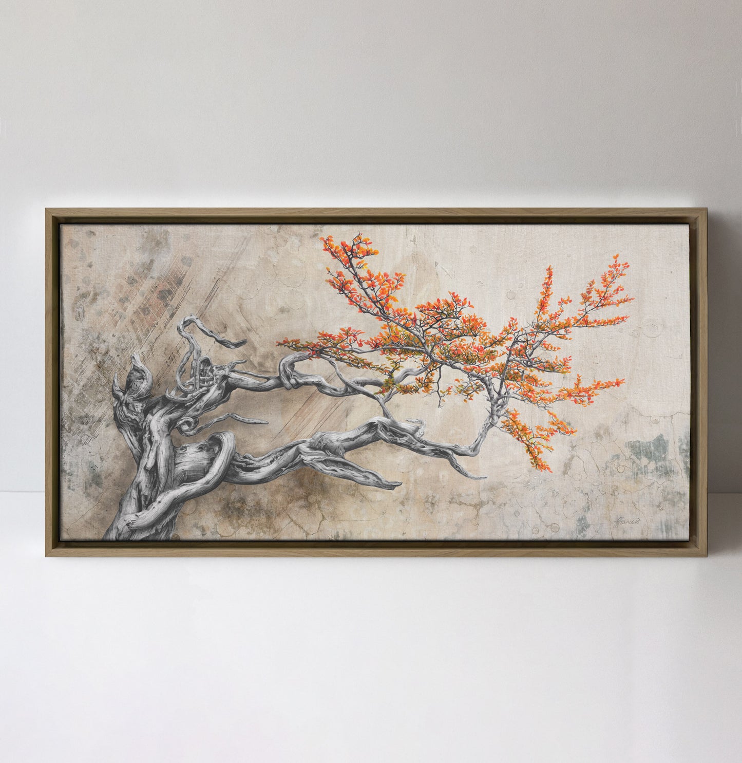 'Bonsai Fagus' canvas print
