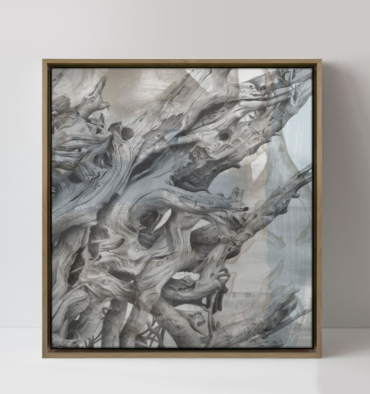 'Driftwood Study 2' canvas print
