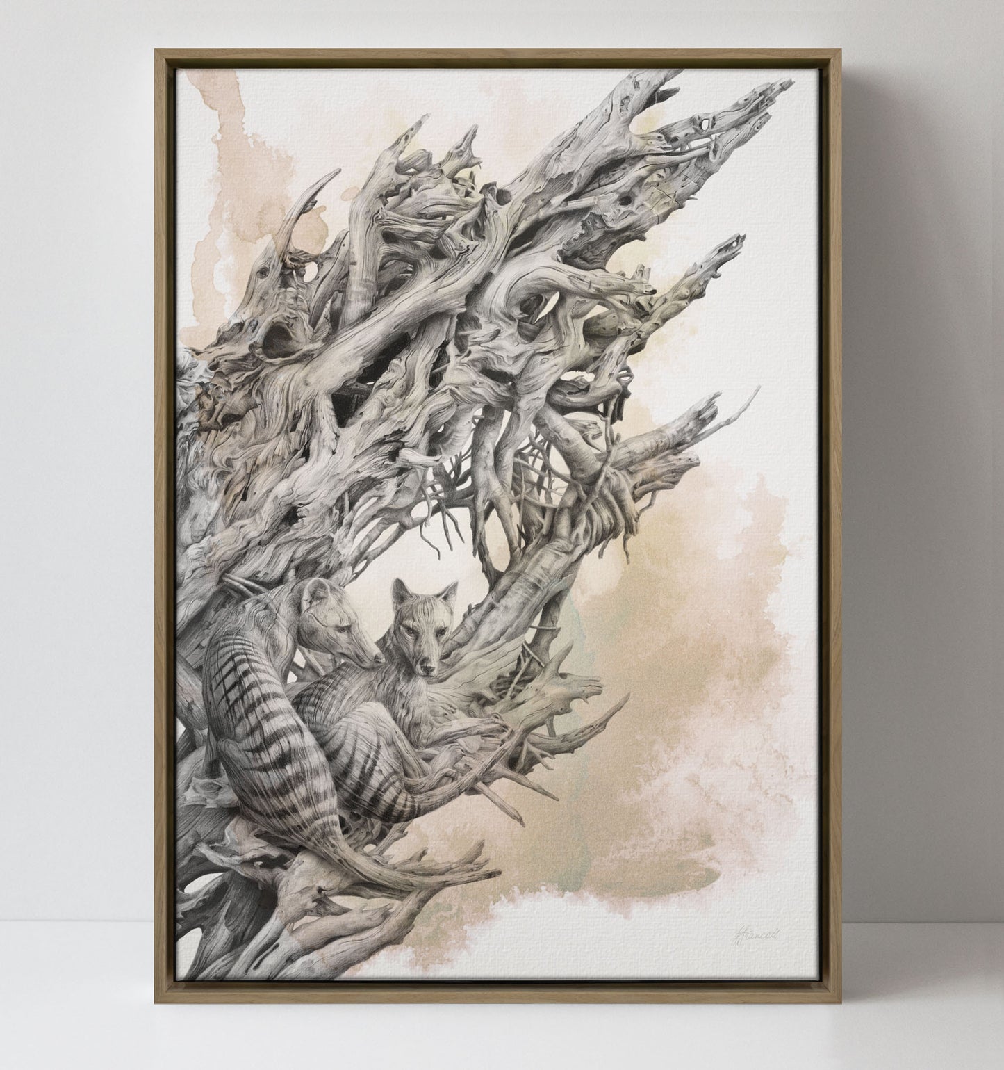 'Driftwood Thylacine' canvas print (with colour)