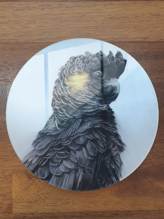 'Black Cockatoo' circular acrylic print