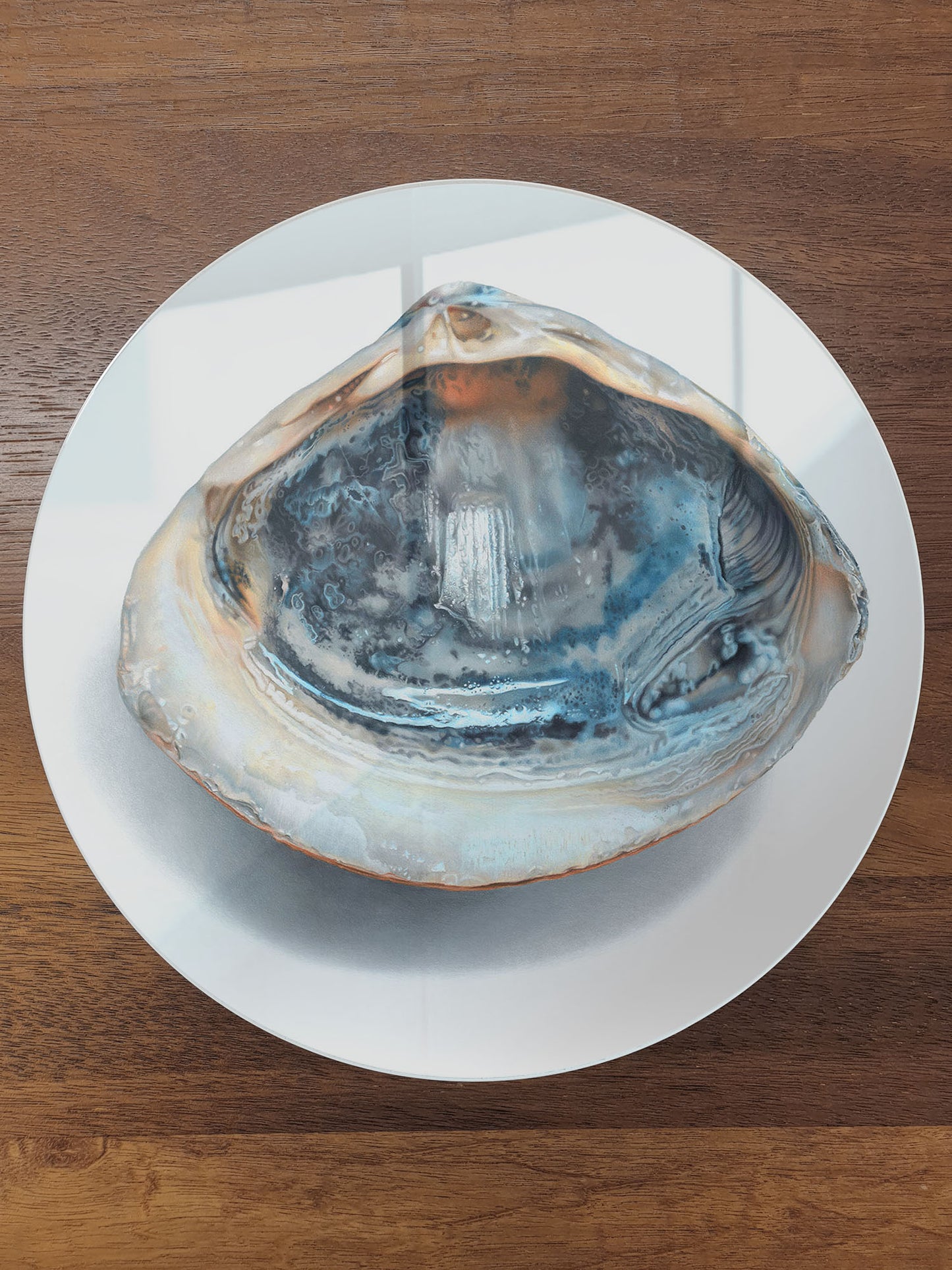 'Blue Shell' circular acrylic print