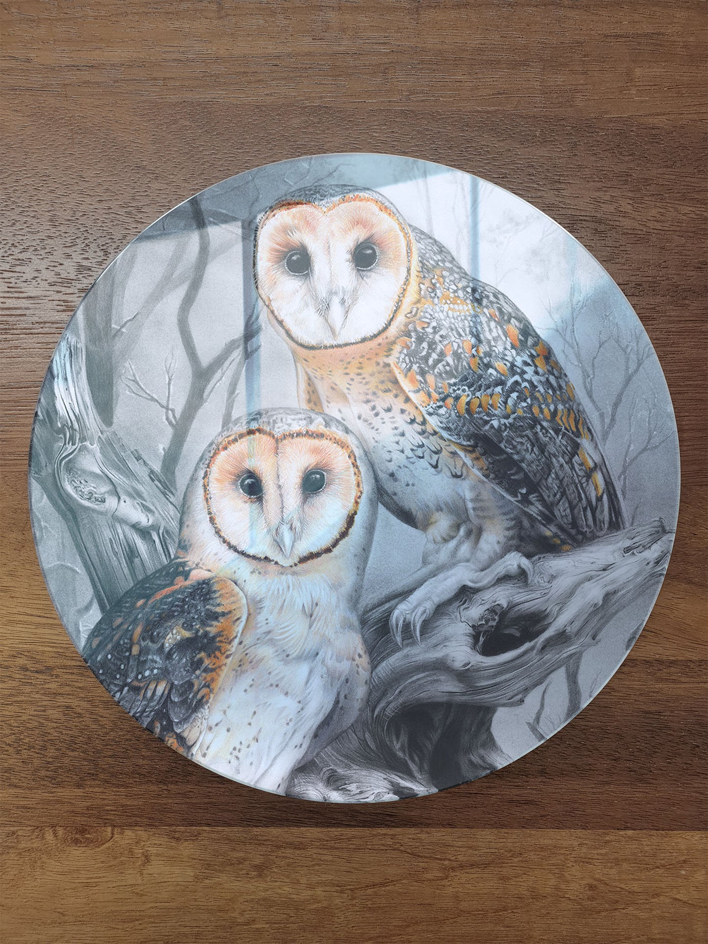 'Tasmanian Masked Owls' circular acrylic print