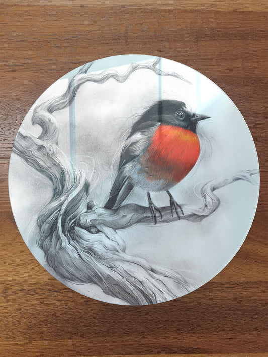 'Scarlet Robin' circular acrylic print