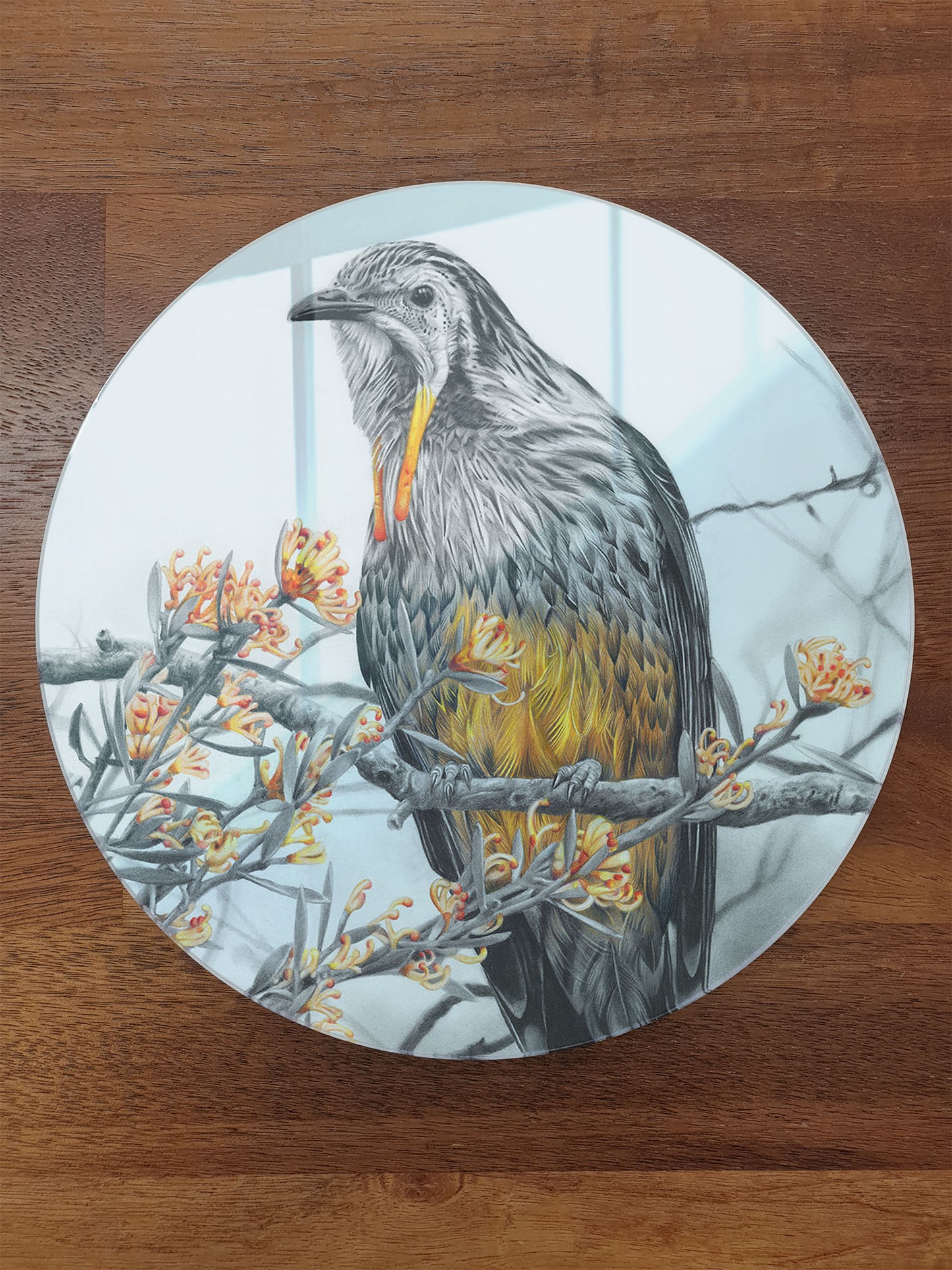 'Yellow Wattlebird' circular acrylic print