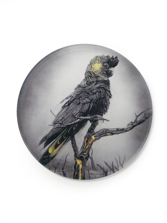 'Black Cockatoo' acrylic coaster