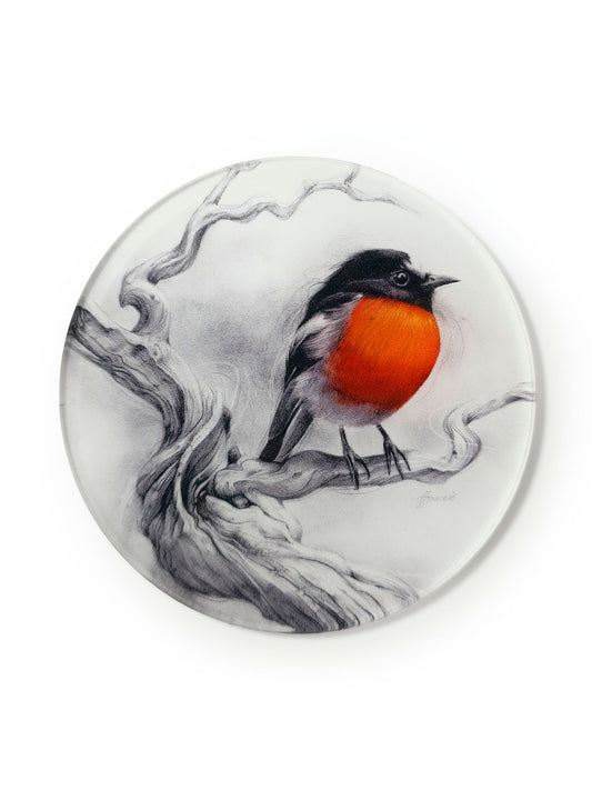 'Scarlet Robin' acrylic coaster