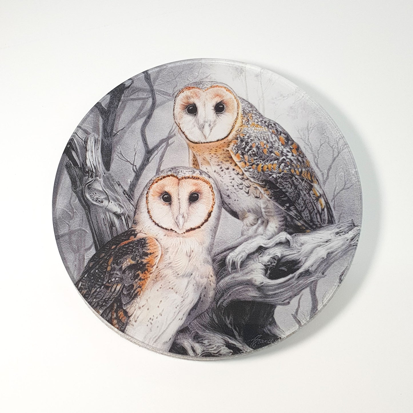 'Masked Owl' acrylic coaster