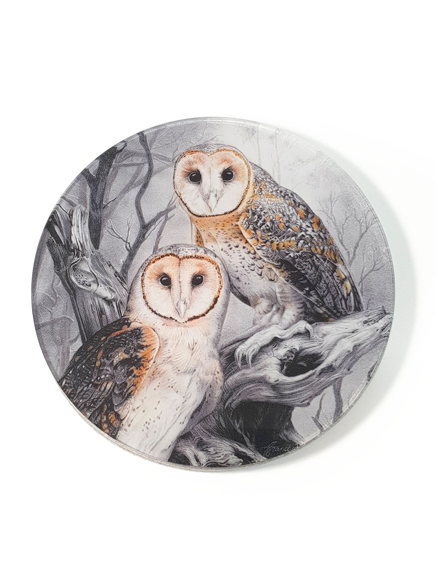 'Masked Owl' acrylic coaster