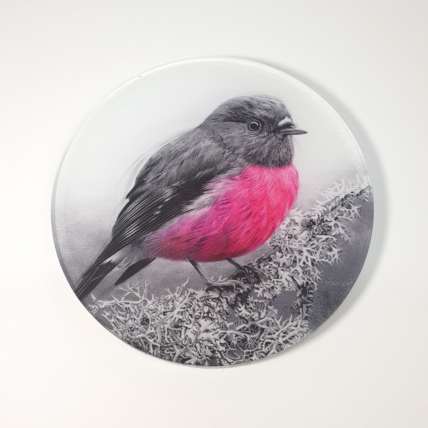 'Pink Robin' acrylic coaster