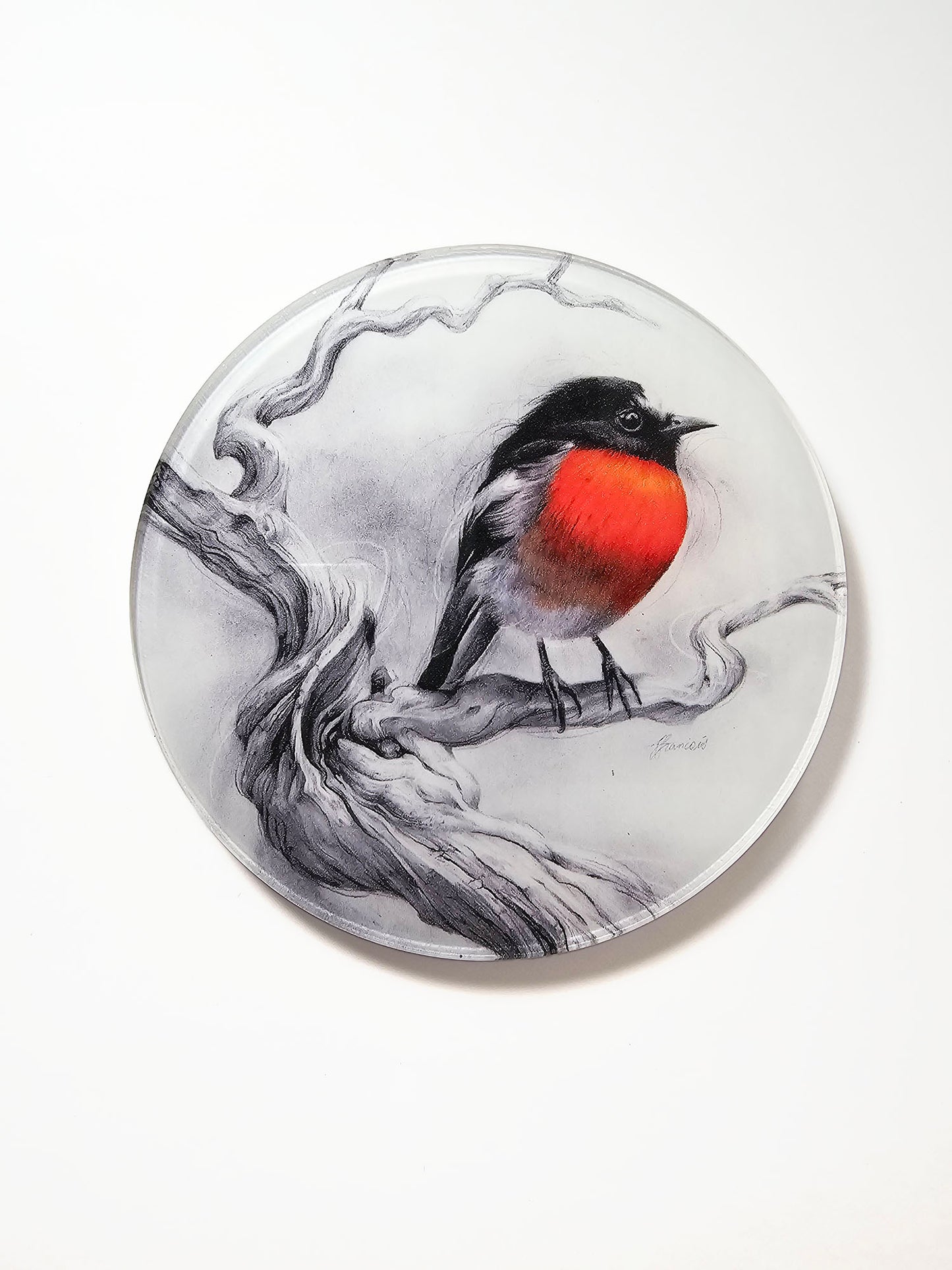 'Scarlet Robin' acrylic coaster