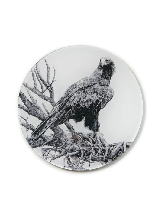 'Wedge-tailed Eagle' acrylic coaster