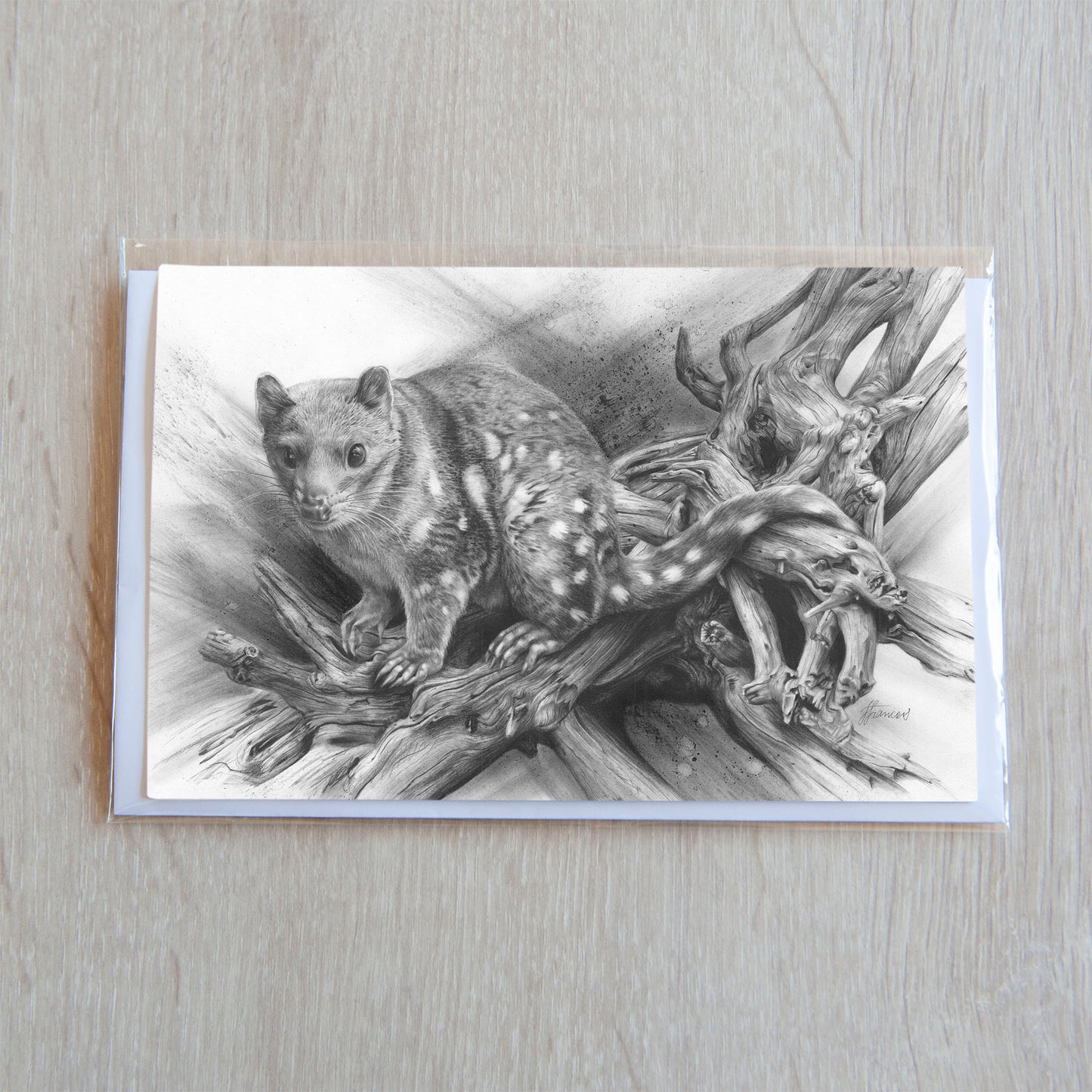 'Spotted Quoll' greeting card