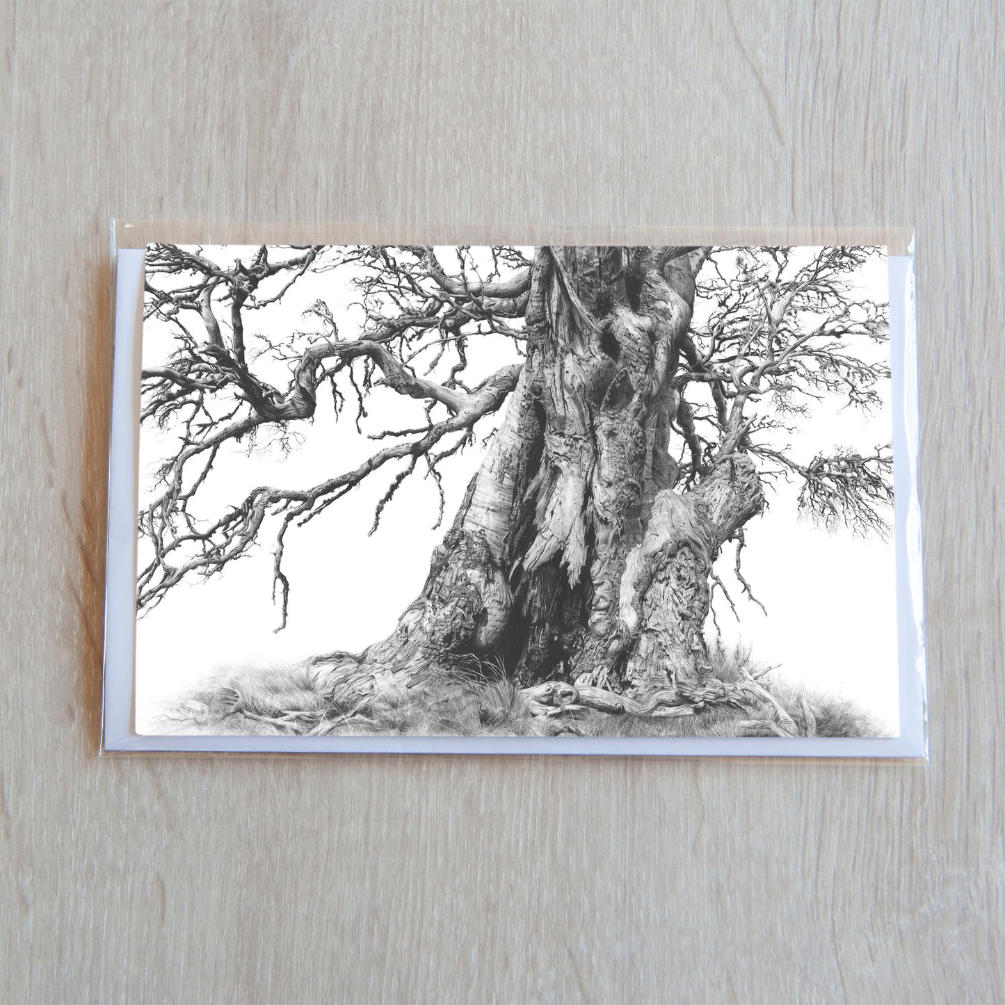 'Tree Elder 1' greeting card