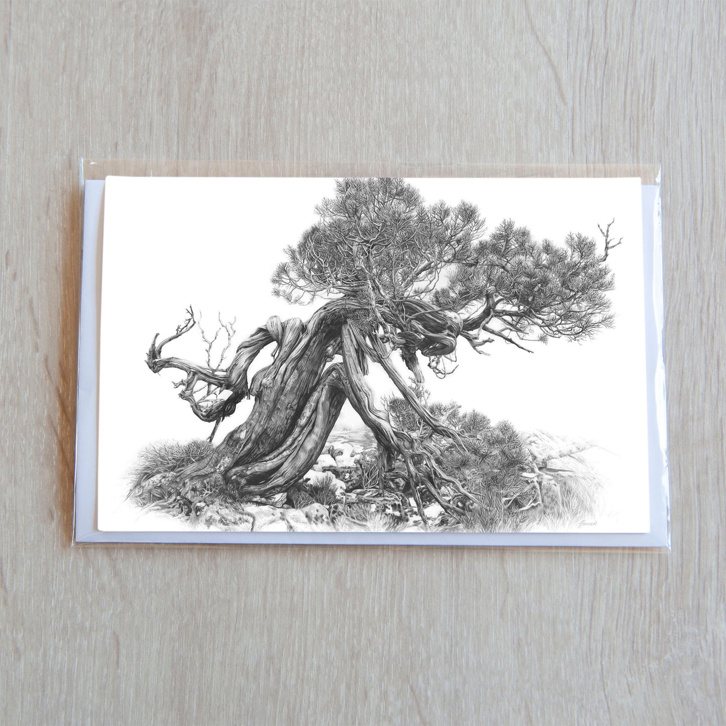 'Tree Elder 2' greeting card