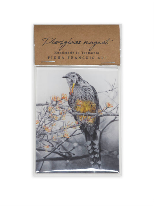 Yellow Wattlebird magnet