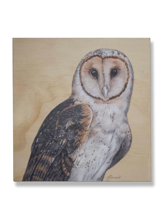 Tasmanian Masked Owl wood print