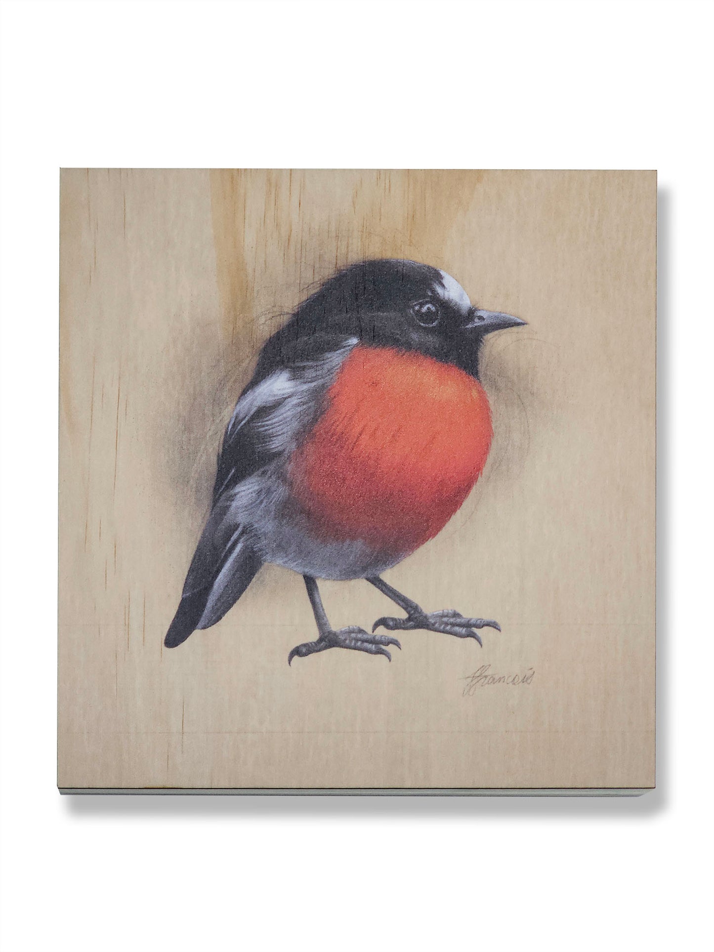 Scarlet Robin wood print